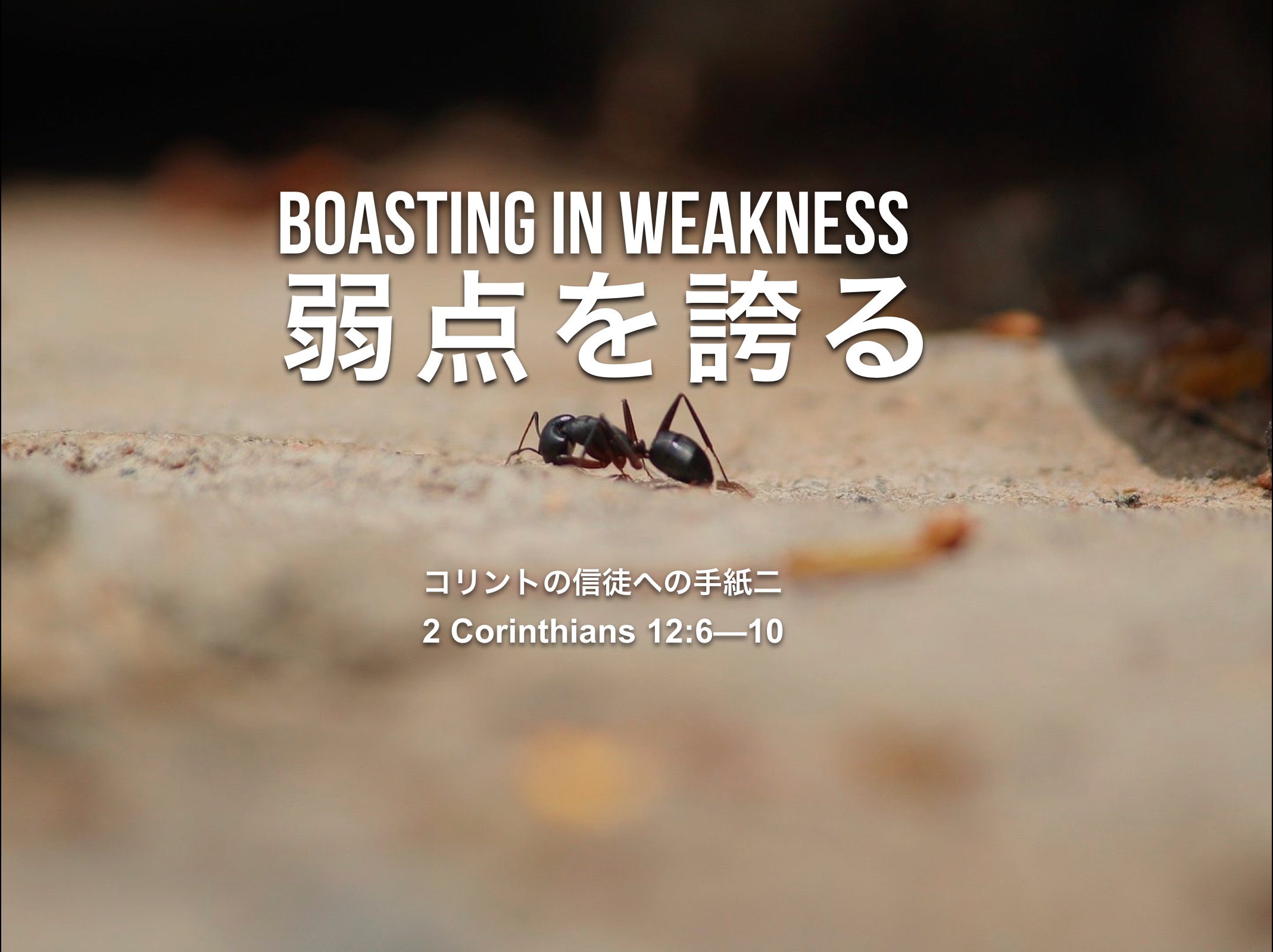 Boasting in Weakness