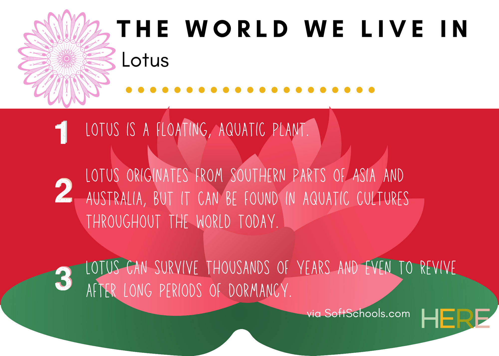 World We Live In The Lotus.png