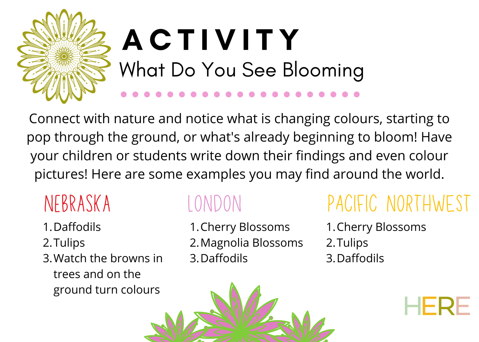 Activity What Do You See Blooming.png