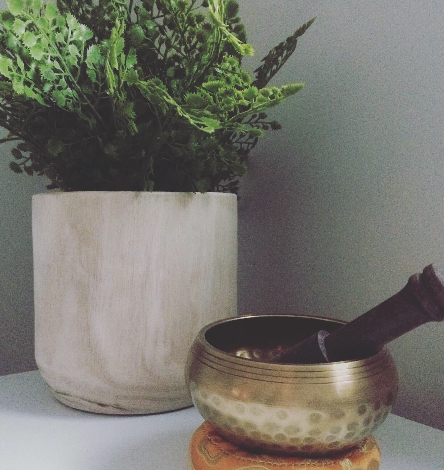 Redfin Plants and Singing Bowl.JPG