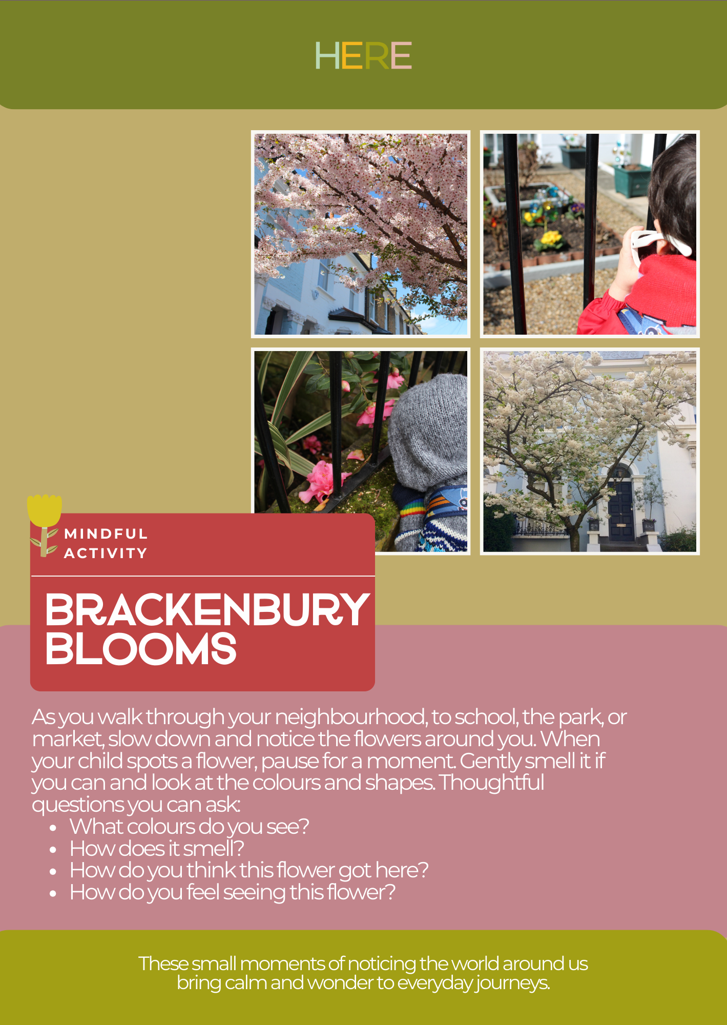Brackenbury Blooms.png