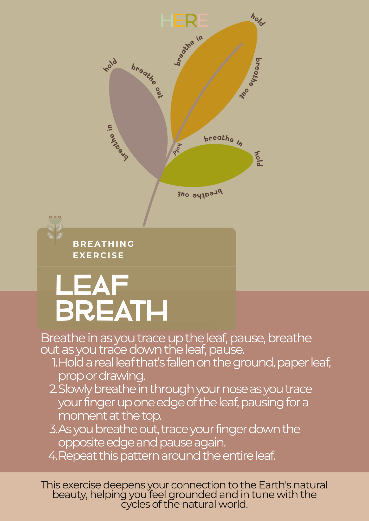 Leaf Breath Mood Board.png