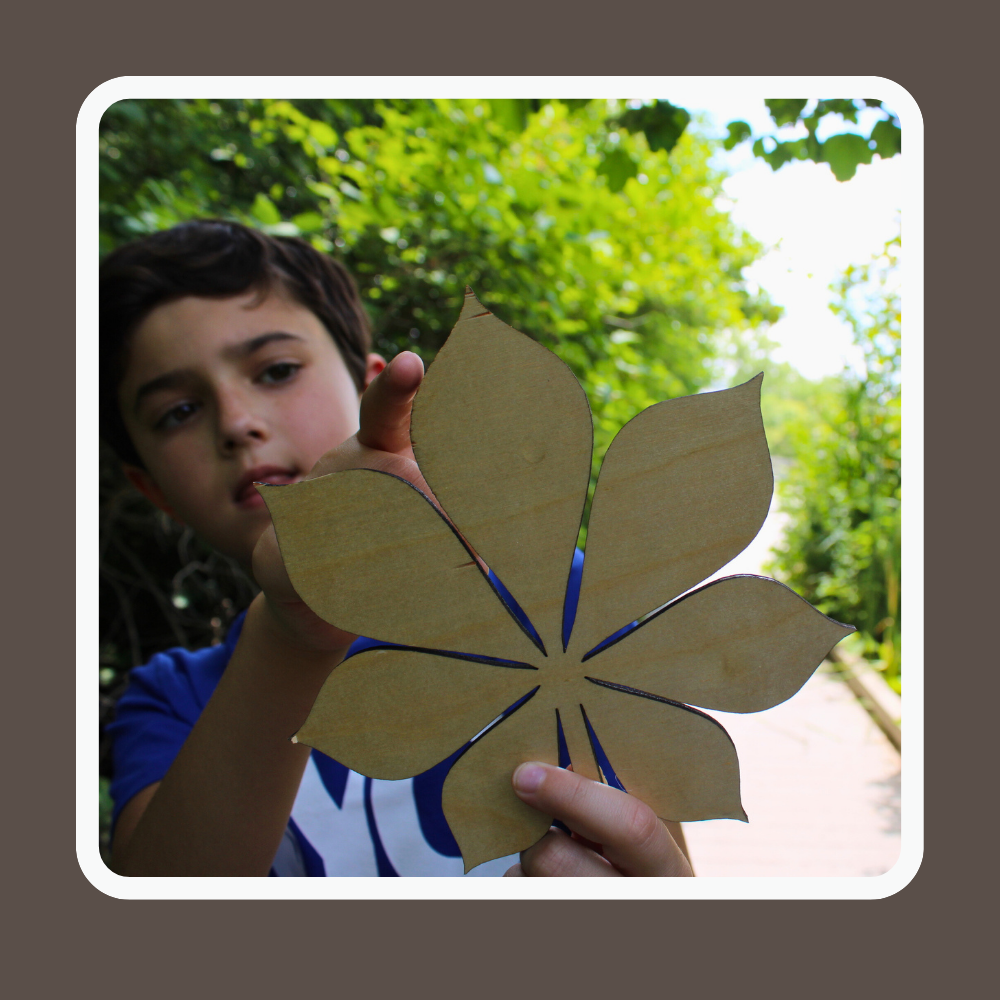 Journals Pic II (2).png