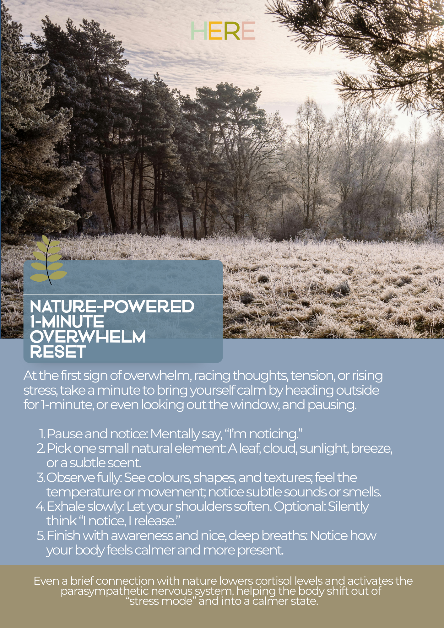 Fiddlehead Fern Breath Activity.png