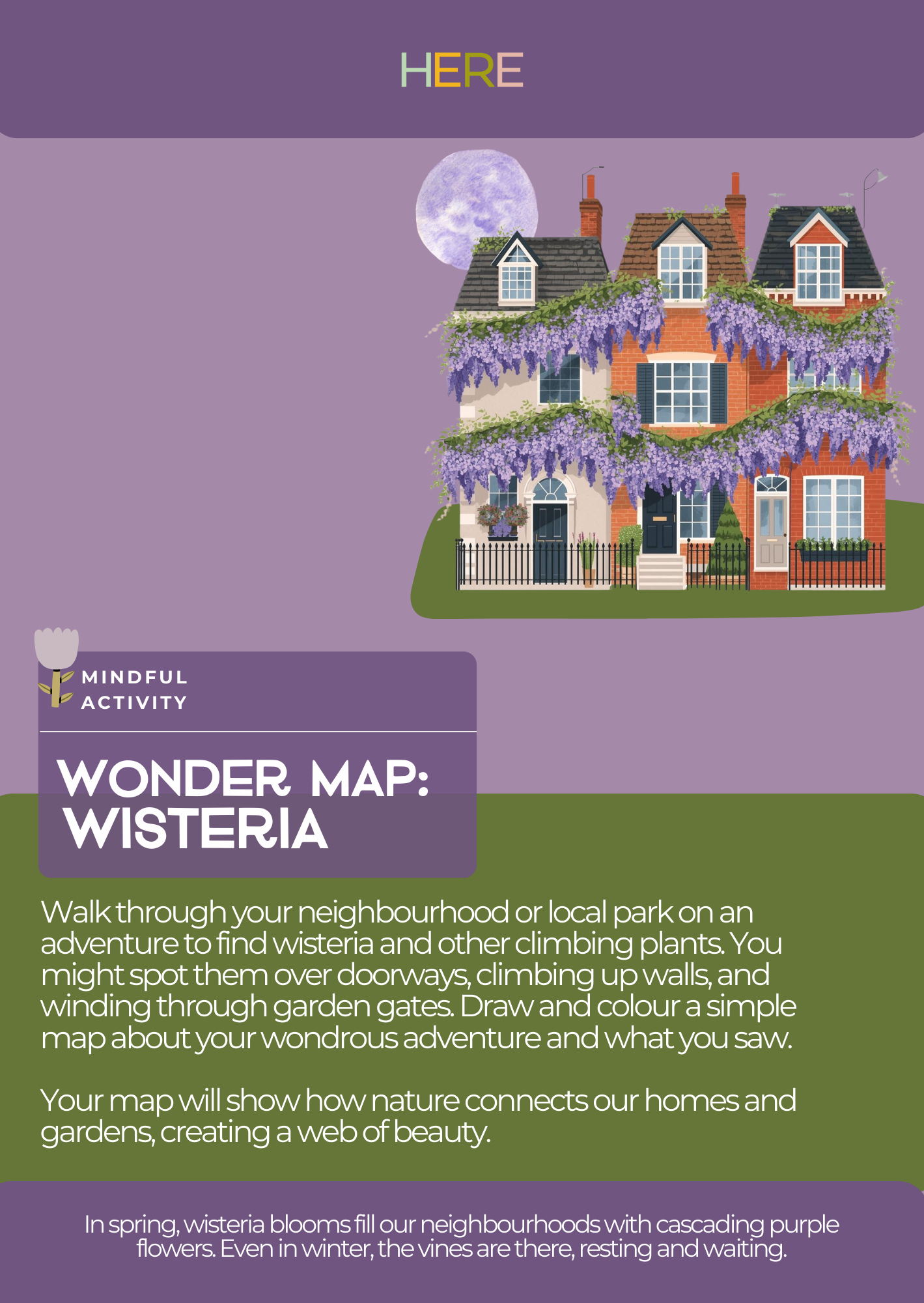 Wonder Map Wisteria (1).png