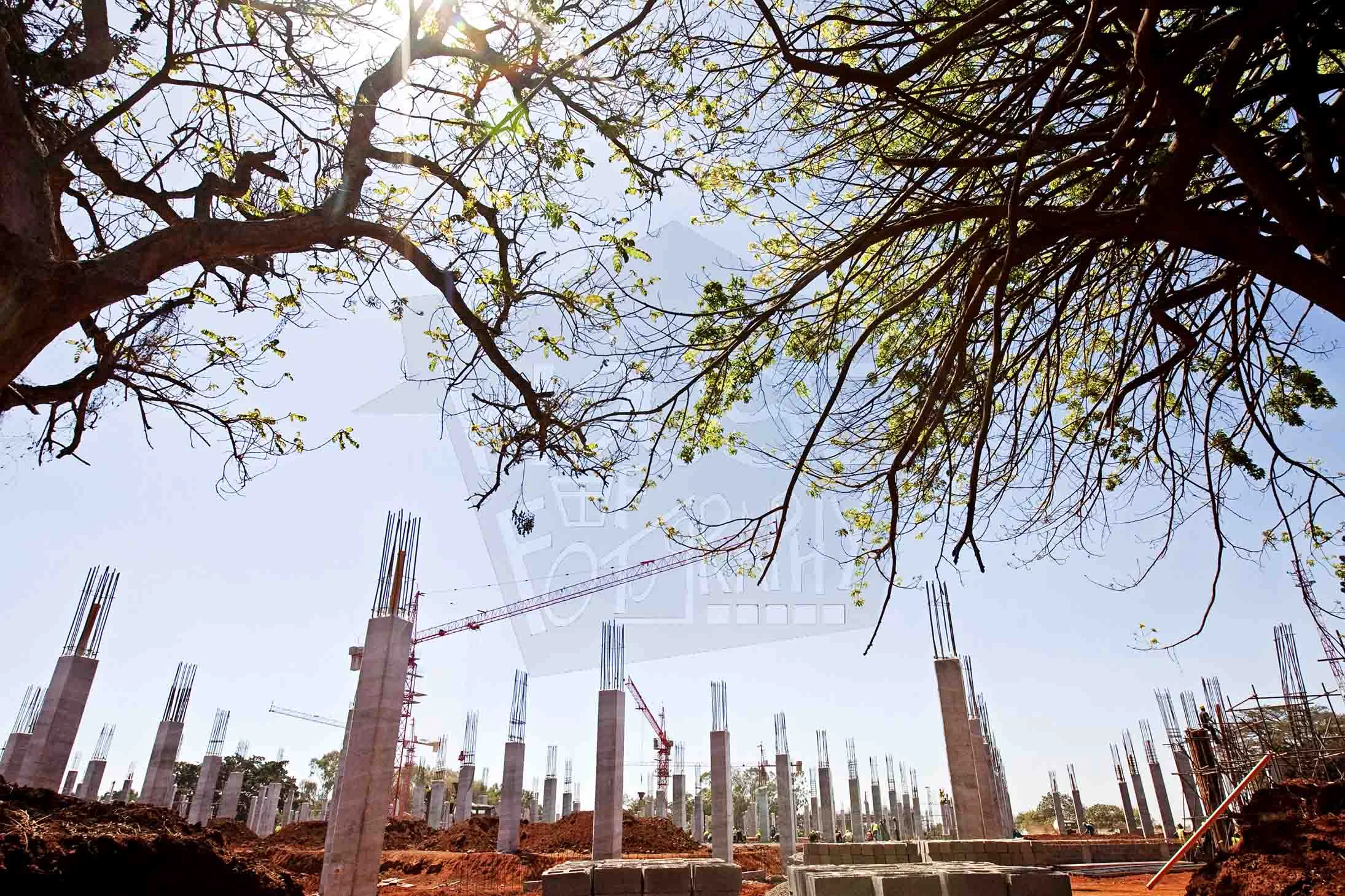 Garden City Mall Development