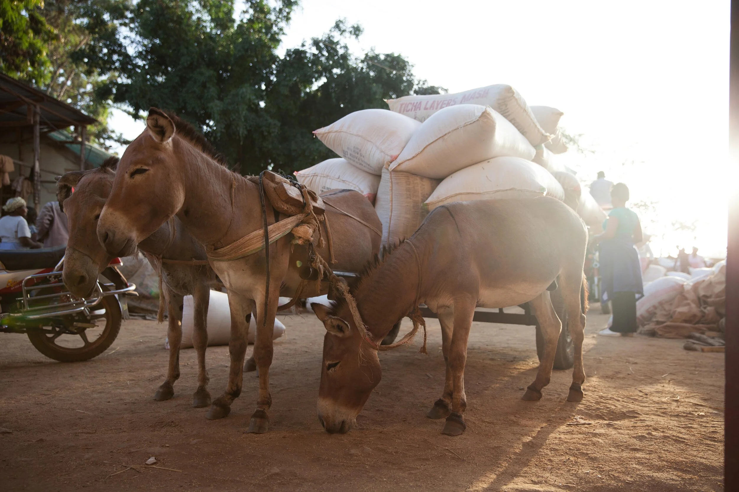 DB_EAGC Funded (10).jpg