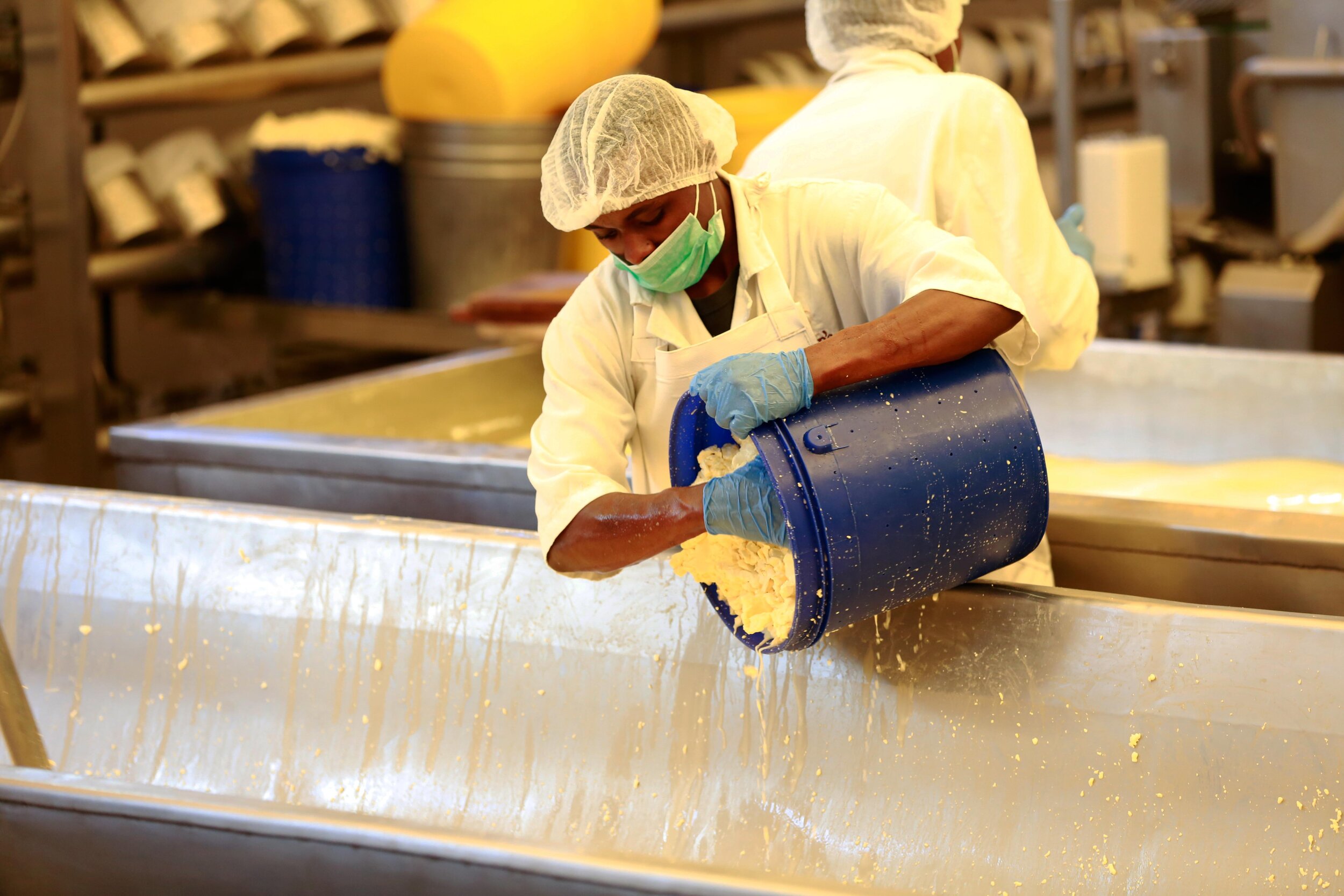 DB_Export promotion (5).jpg