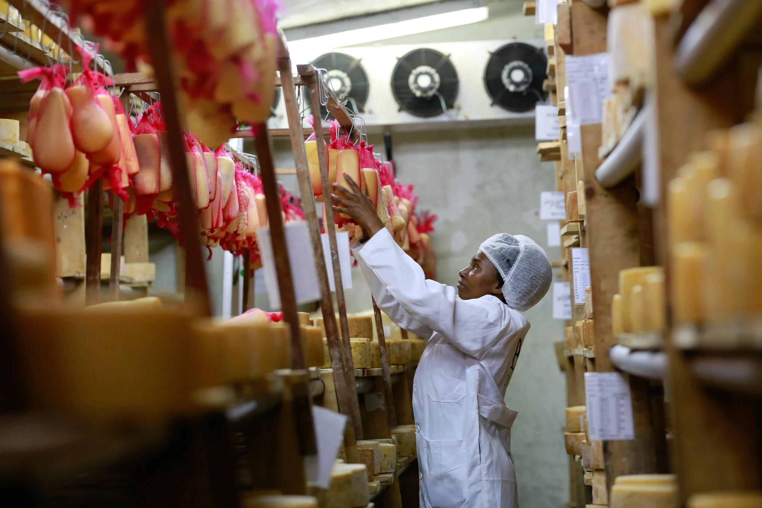 DB_Export promotion (6).jpg