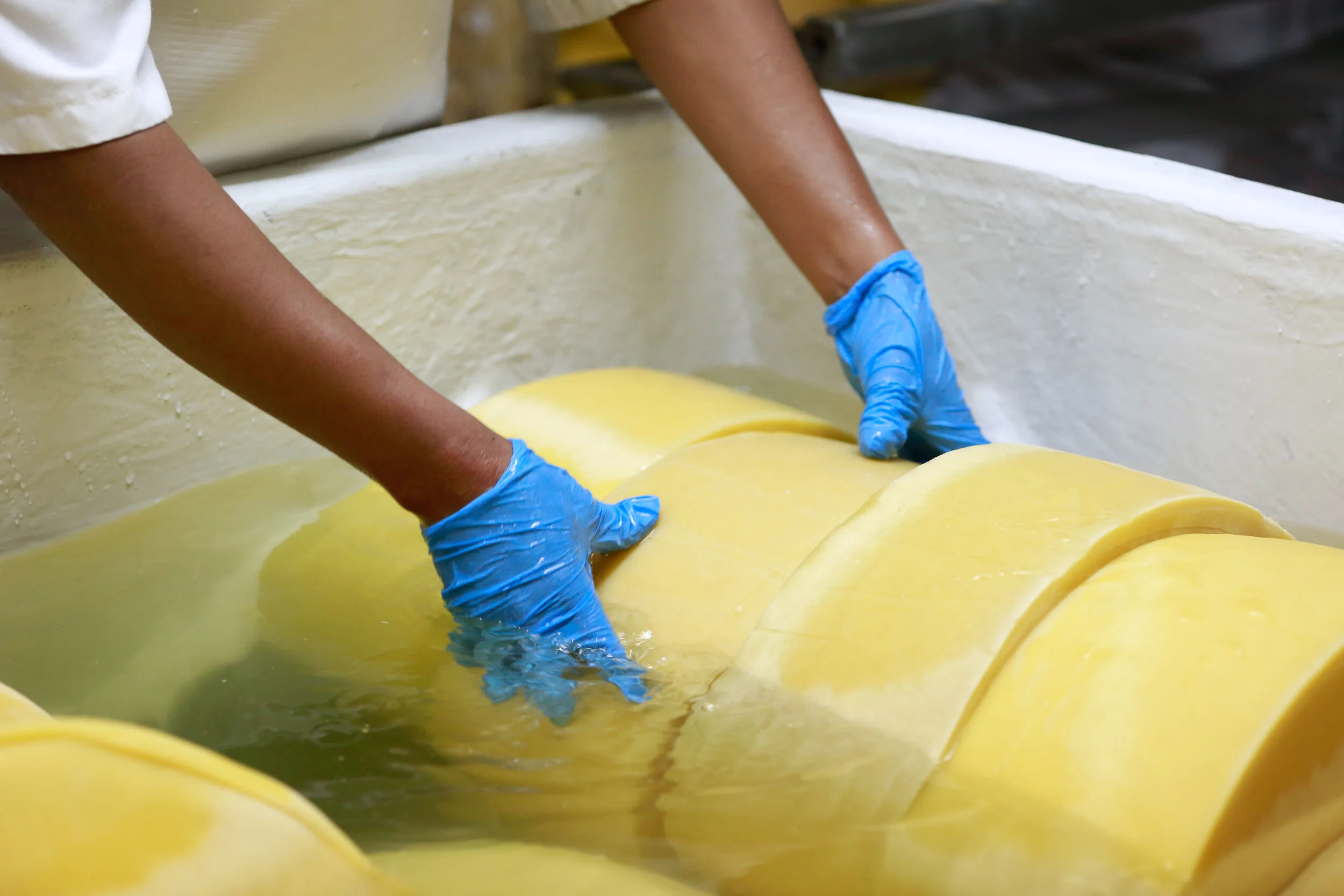 DB_Export promotion (7).jpg