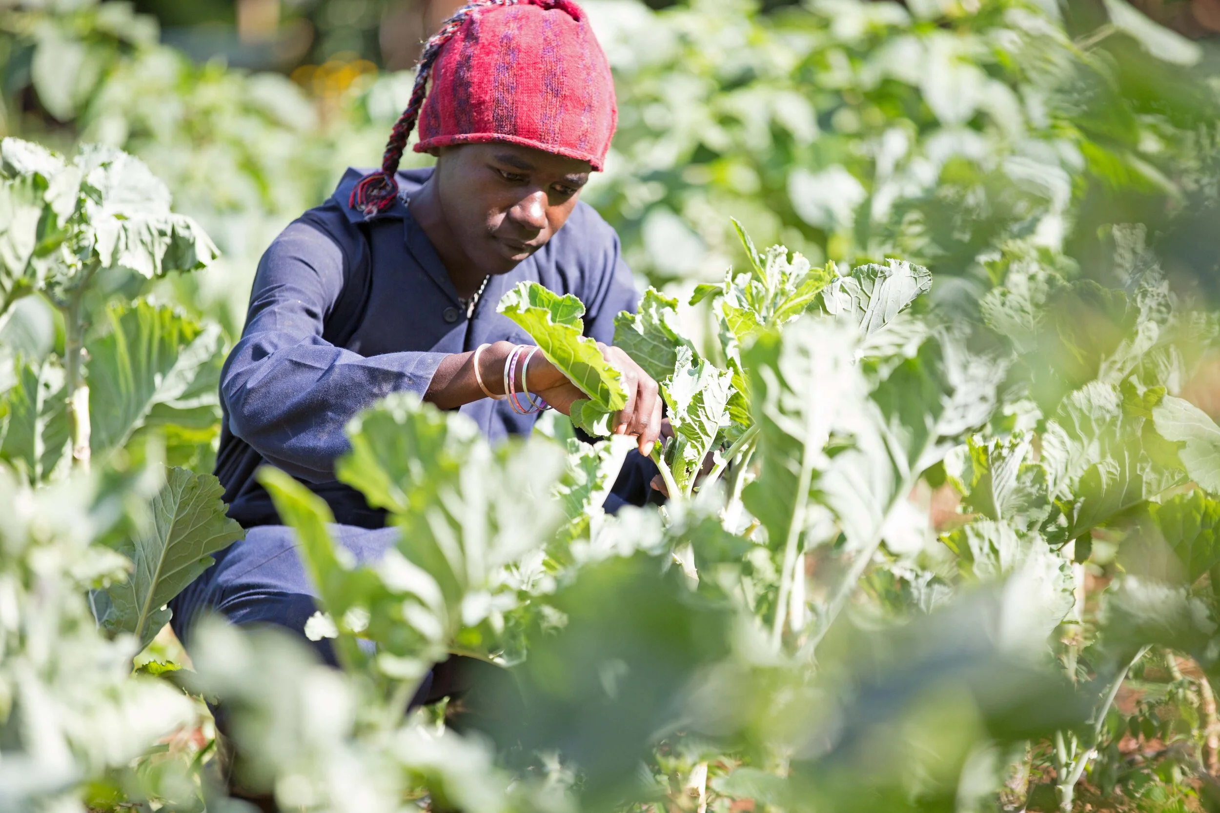 DB_Export promotion (11).jpg