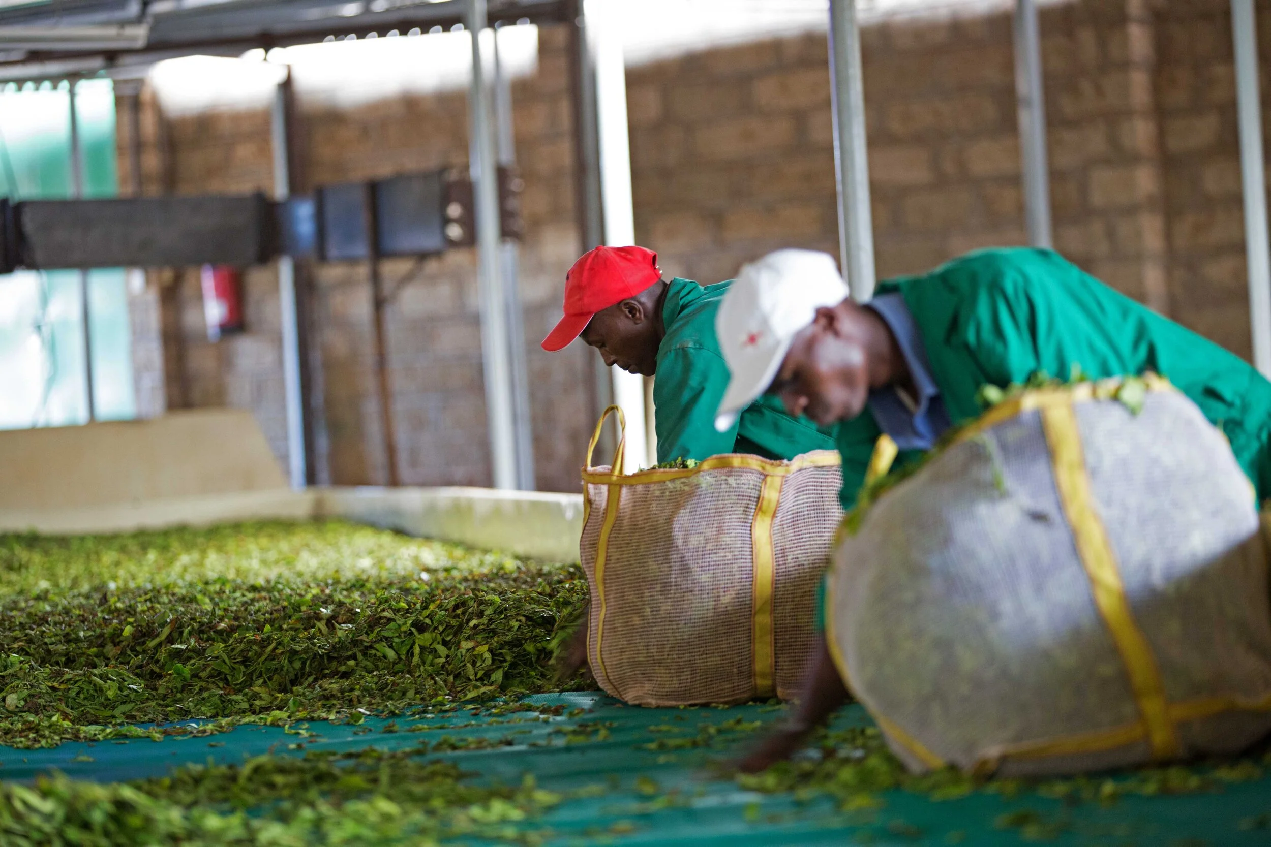 DB_Export promotion (14).jpg