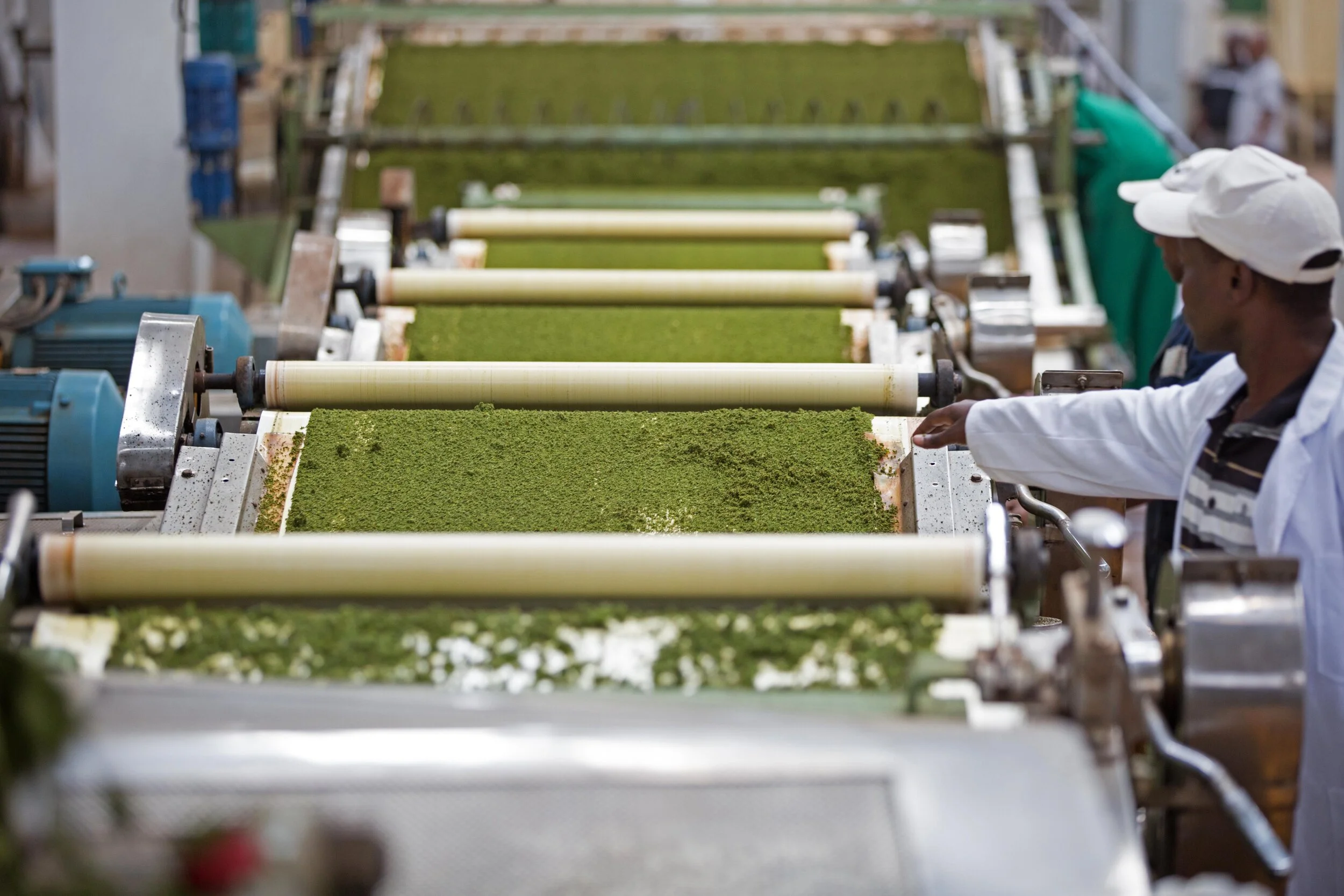 DB_Export promotion (15).jpg