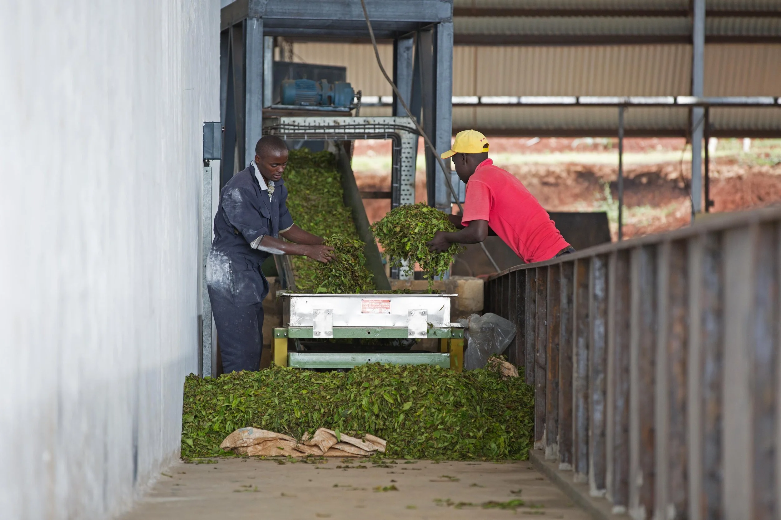 DB_Export promotion (16).jpg