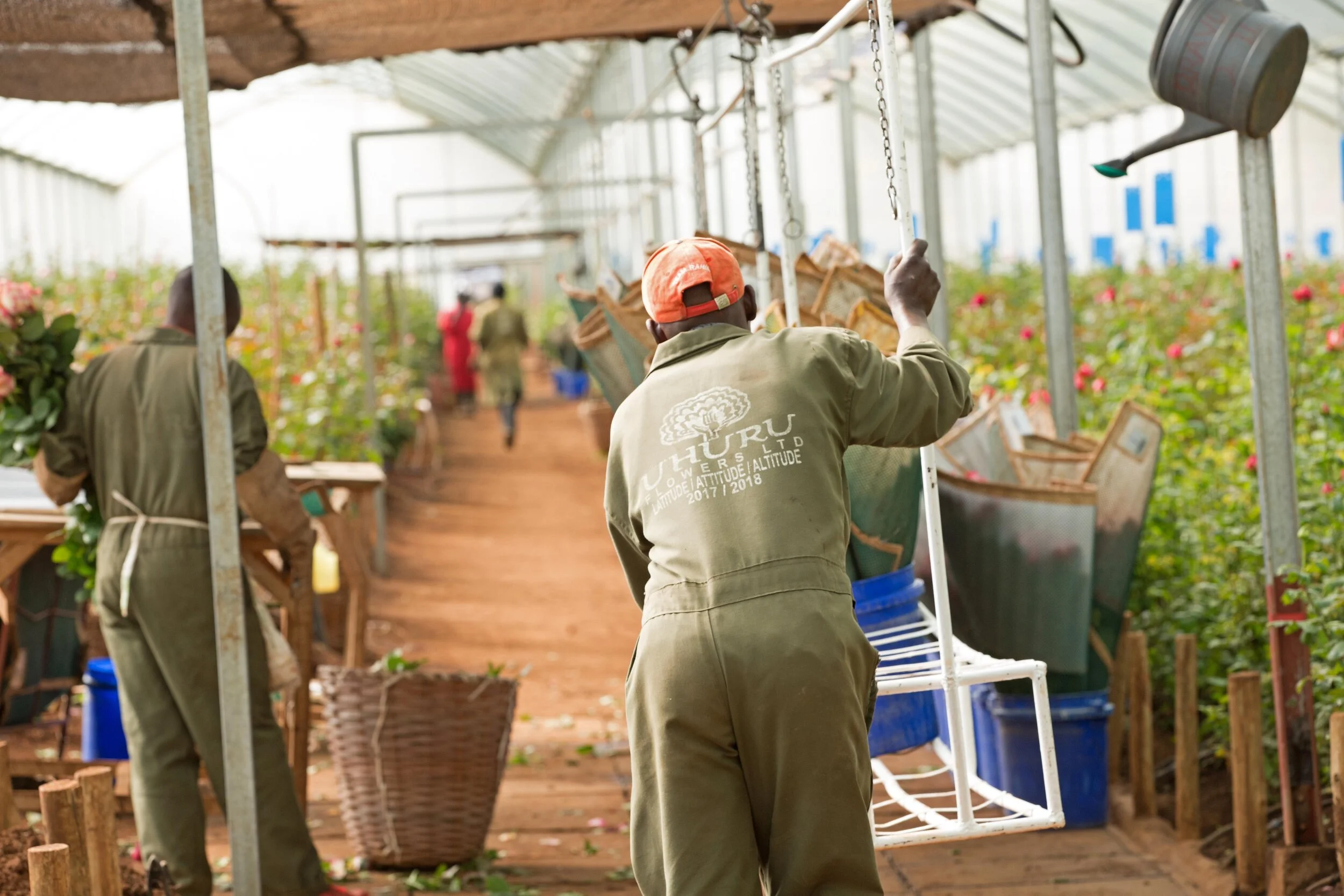 DB_Export promotion (18).jpg