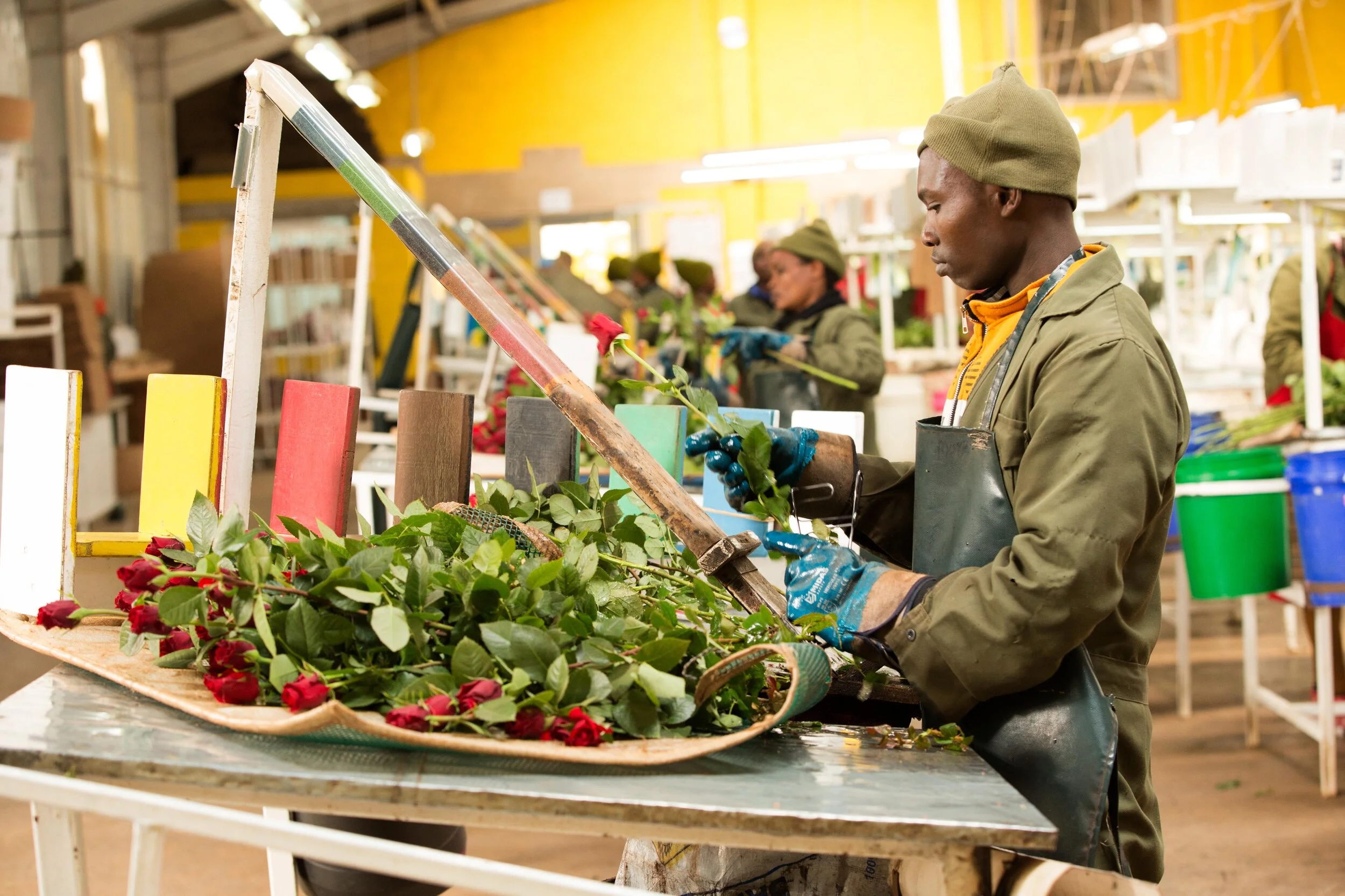 DB_Export promotion (21).jpg