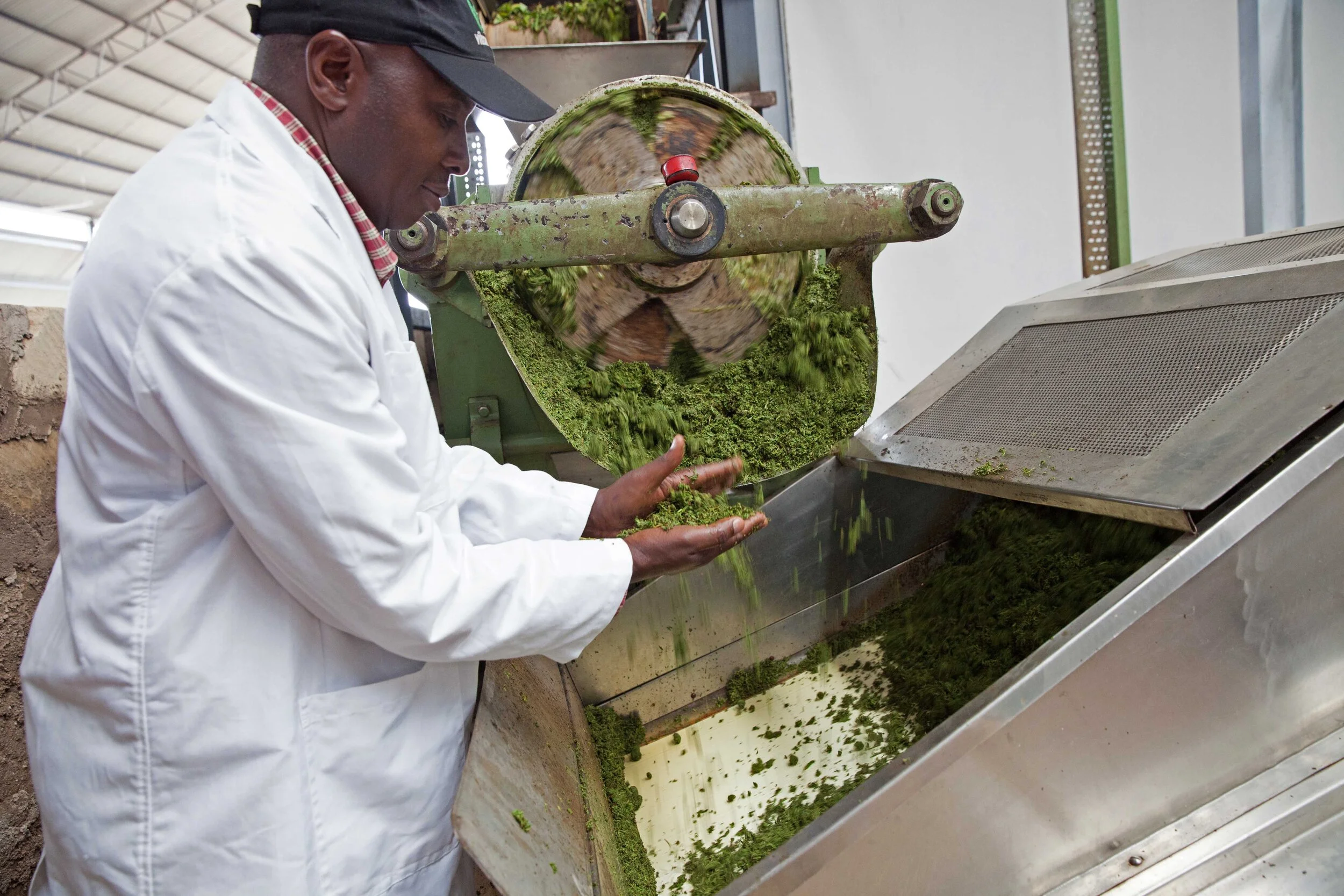 DB_Export promotion (27).jpg