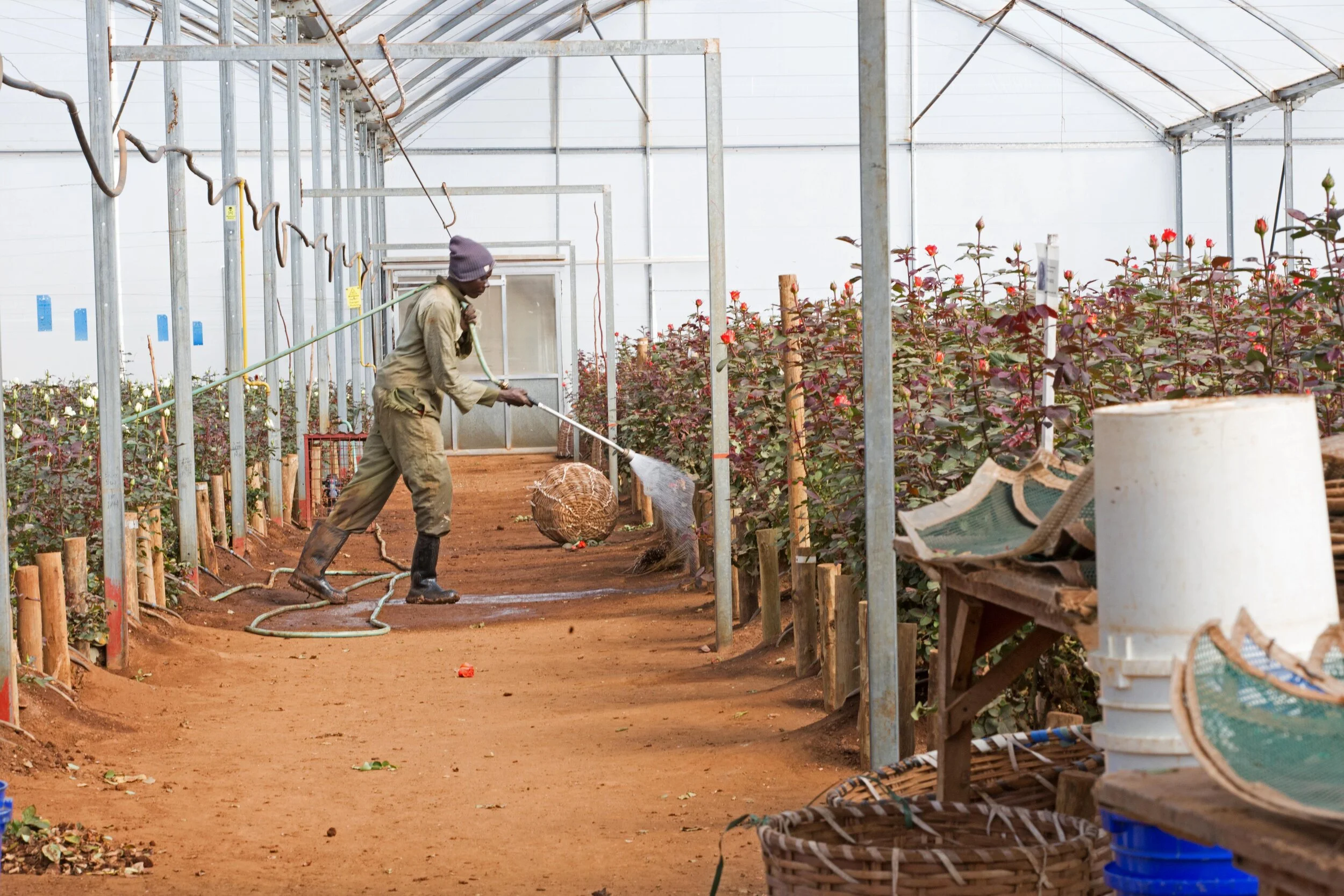 DB_Export promotion (19).jpg