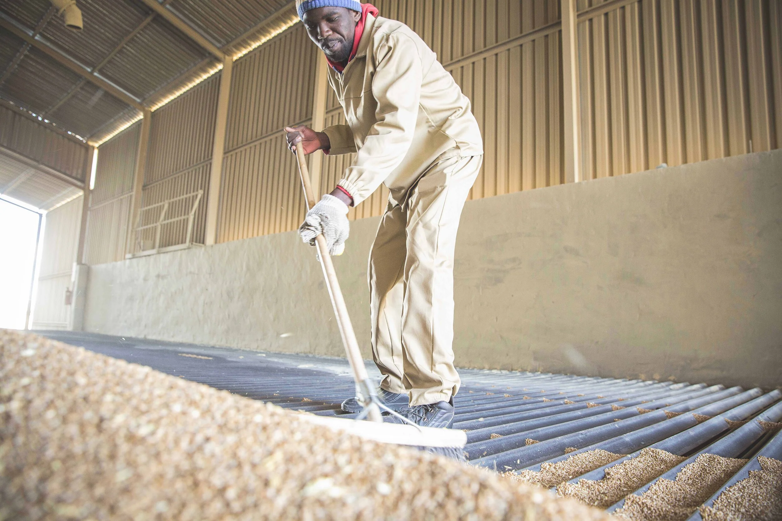 Louis Dreyfus Company_UN Global Compact (2).jpg