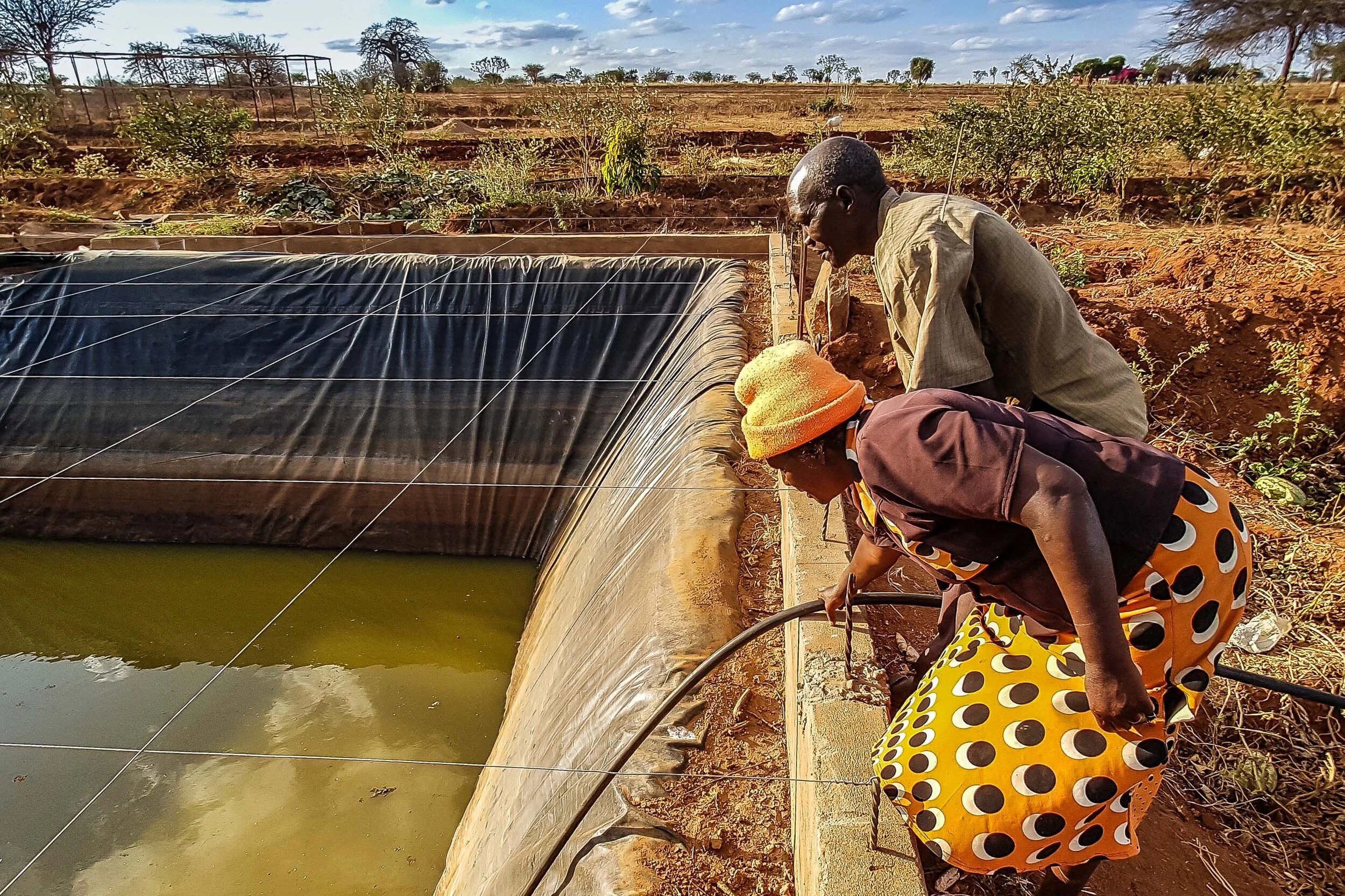 USAID Cash For Assets (4).jpg