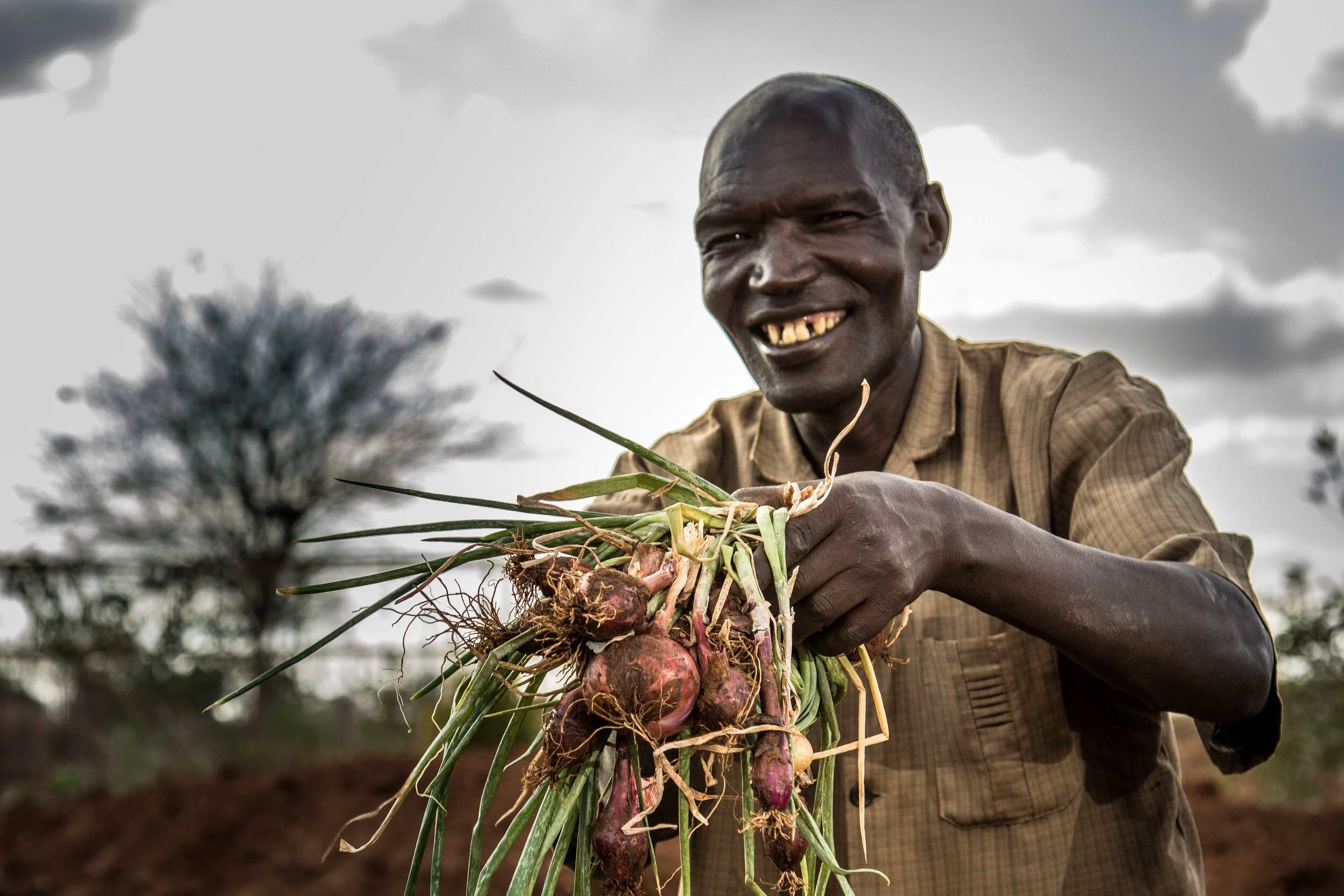 USAID Cash For Assets (5).jpg