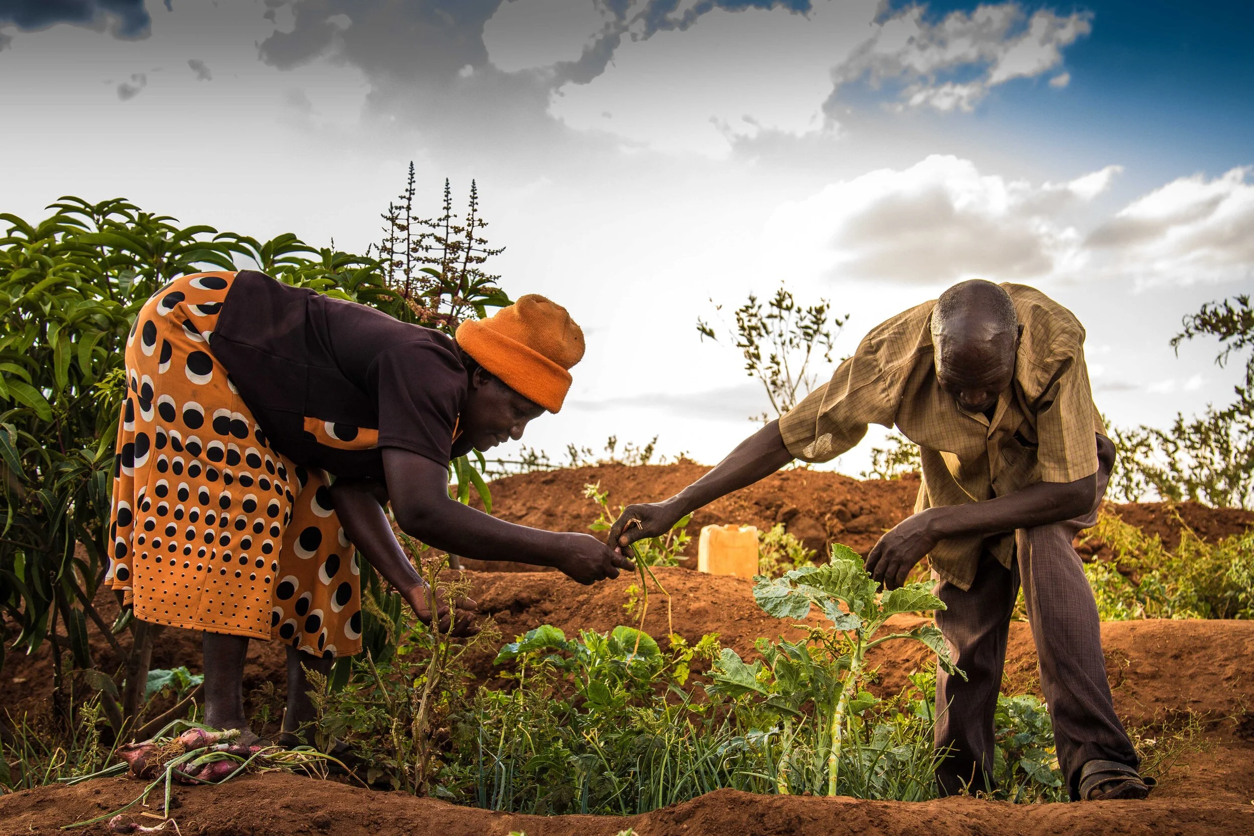 USAID Cash For Assets (6).jpg