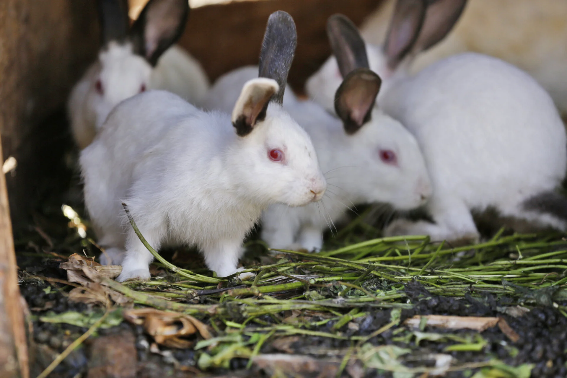 Mamlaka Foods with SC_Teddy Mitchener (2).JPG