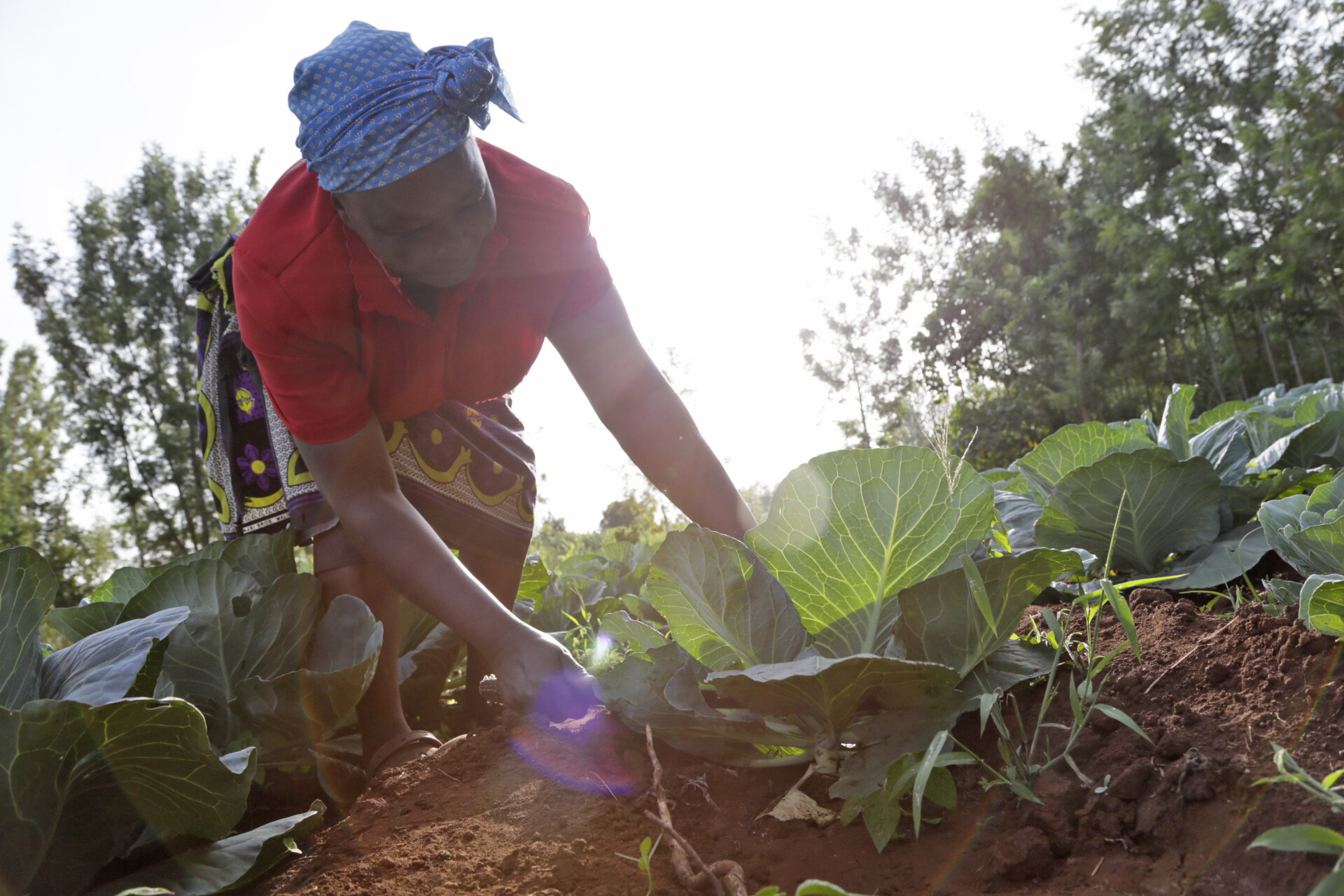 Mamlaka Foods with SC_Teddy Mitchener (1).JPG