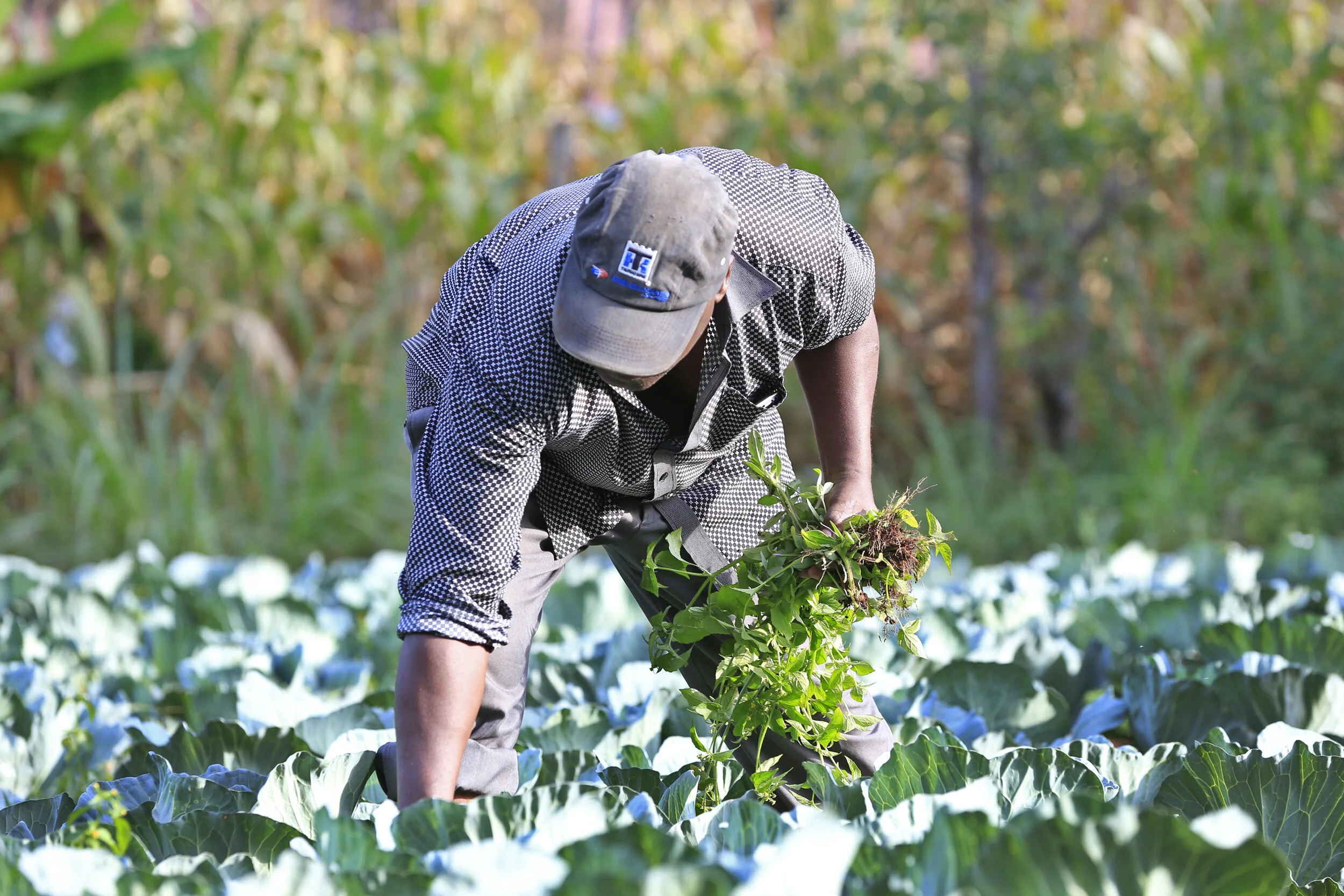 Mamlaka Foods with SC_Teddy Mitchener (4).JPG