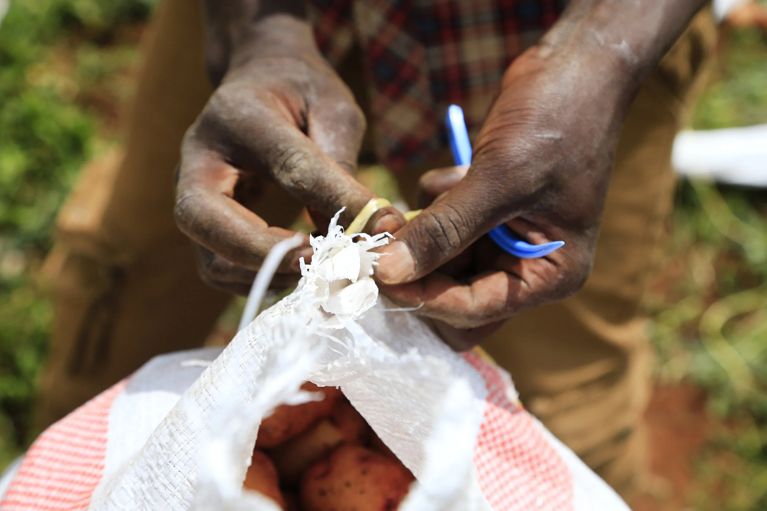 Mamlaka Foods with SC_Teddy Mitchener (13).JPG