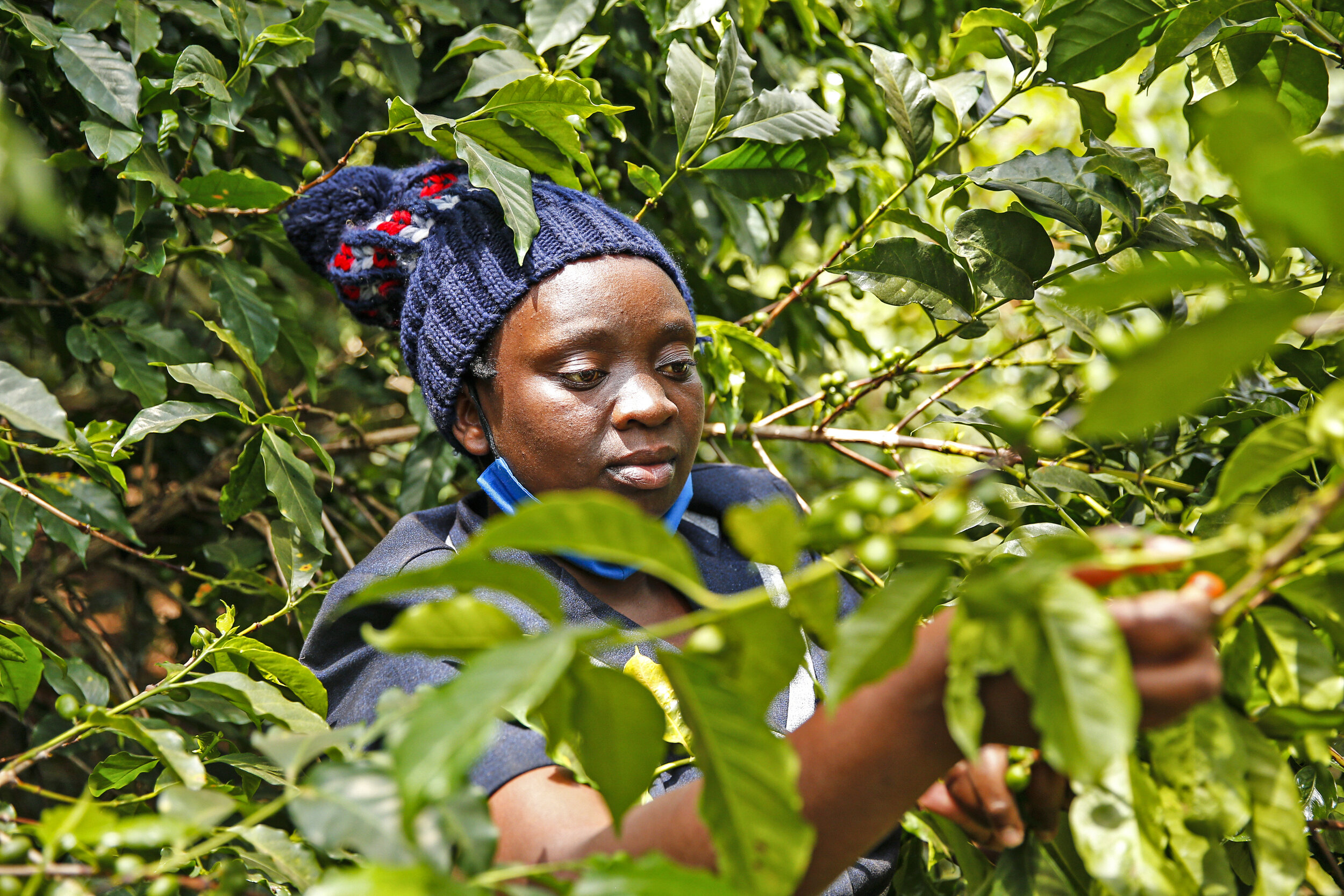 Fairtrade Africa_Recover Africa Project_Kailuni_02.JPG