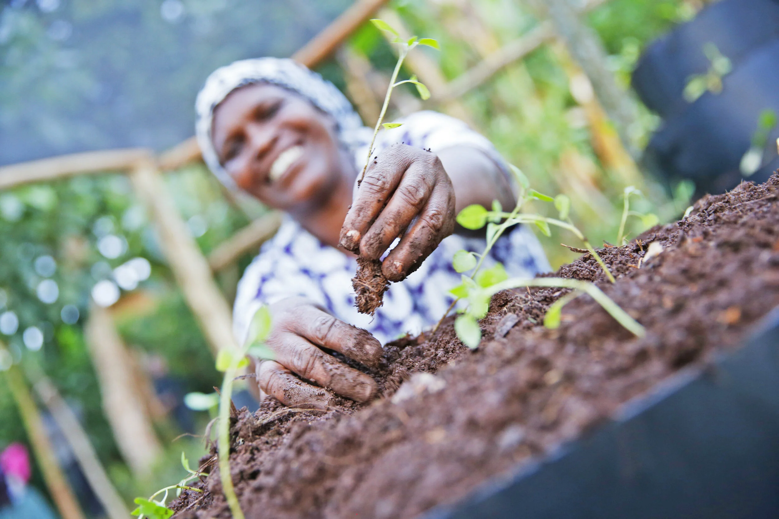 Fairtrade Africa_Recover Africa Project_Sireet Outgrowers_06.jpg