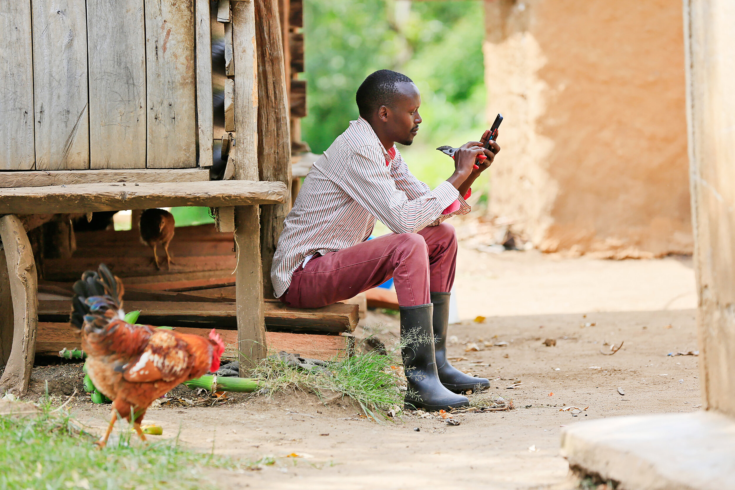 Fairtrade Africa_Recover Africa Project_Kapkiyai_02.jpg