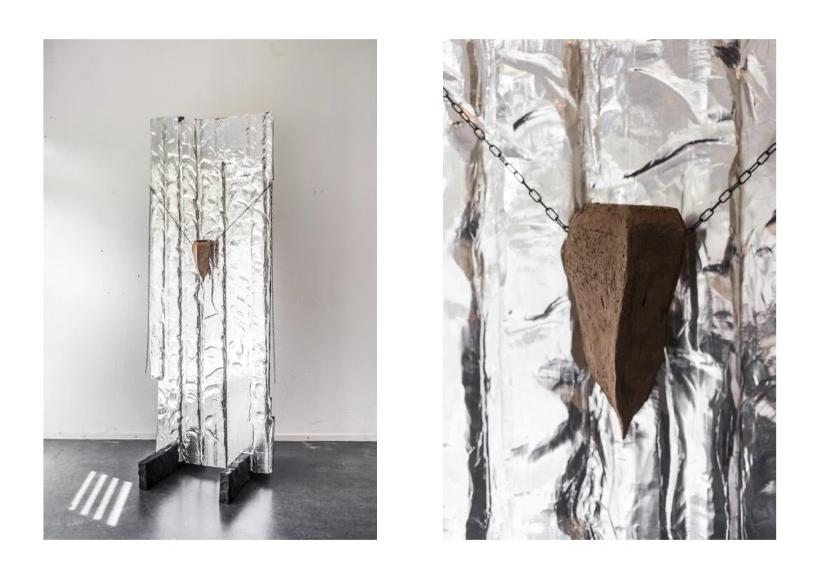 pfd werk raven  (gesleept).jpg