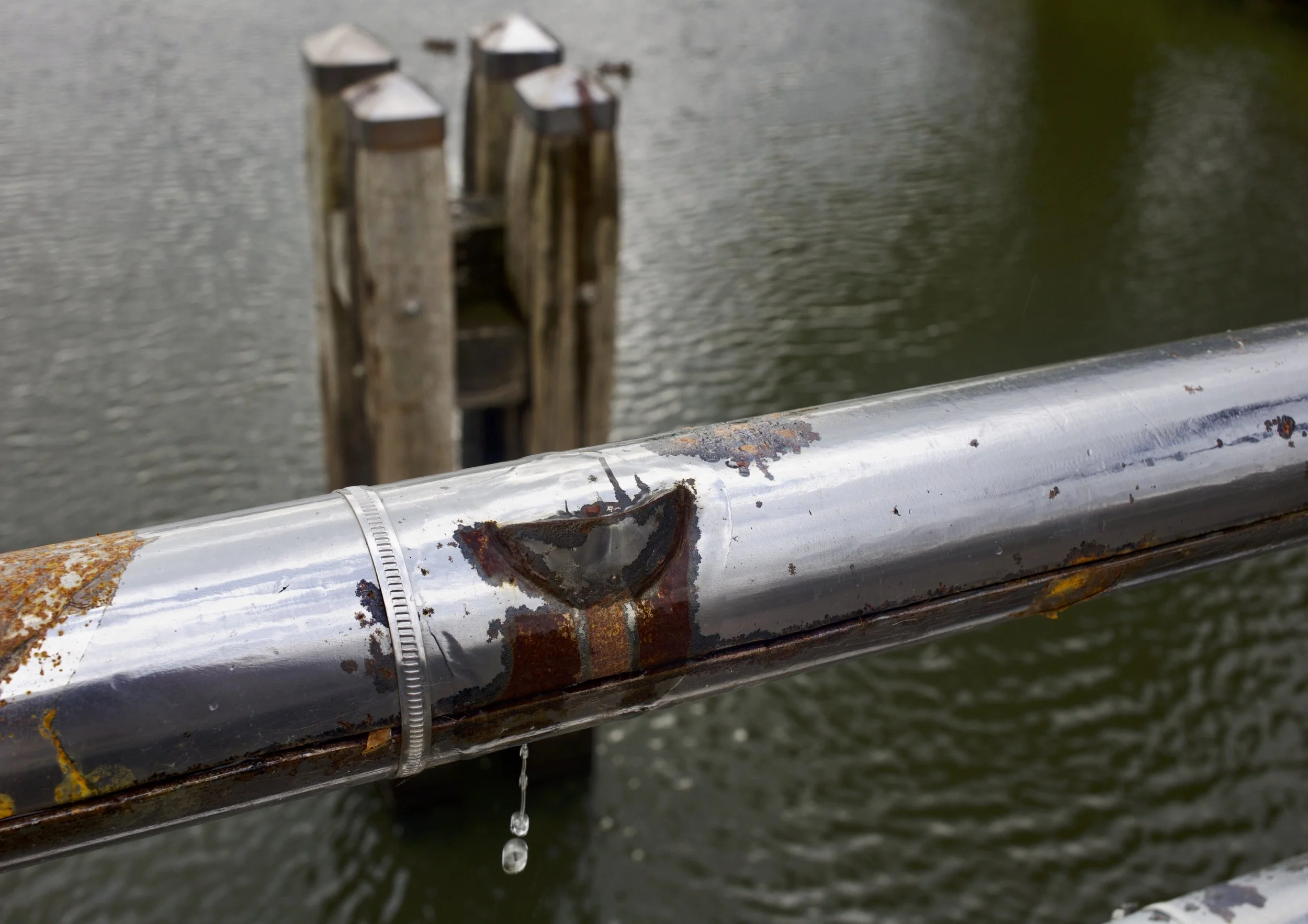 Foto's  Selectie Lost and found 4 .jpg