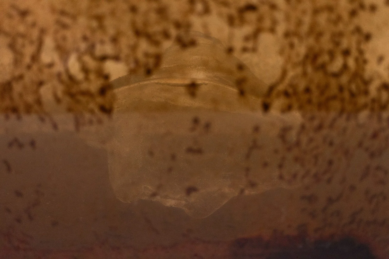 WhatsApp Image 2023-10-02 at 3.16.36 PM (1).jpeg