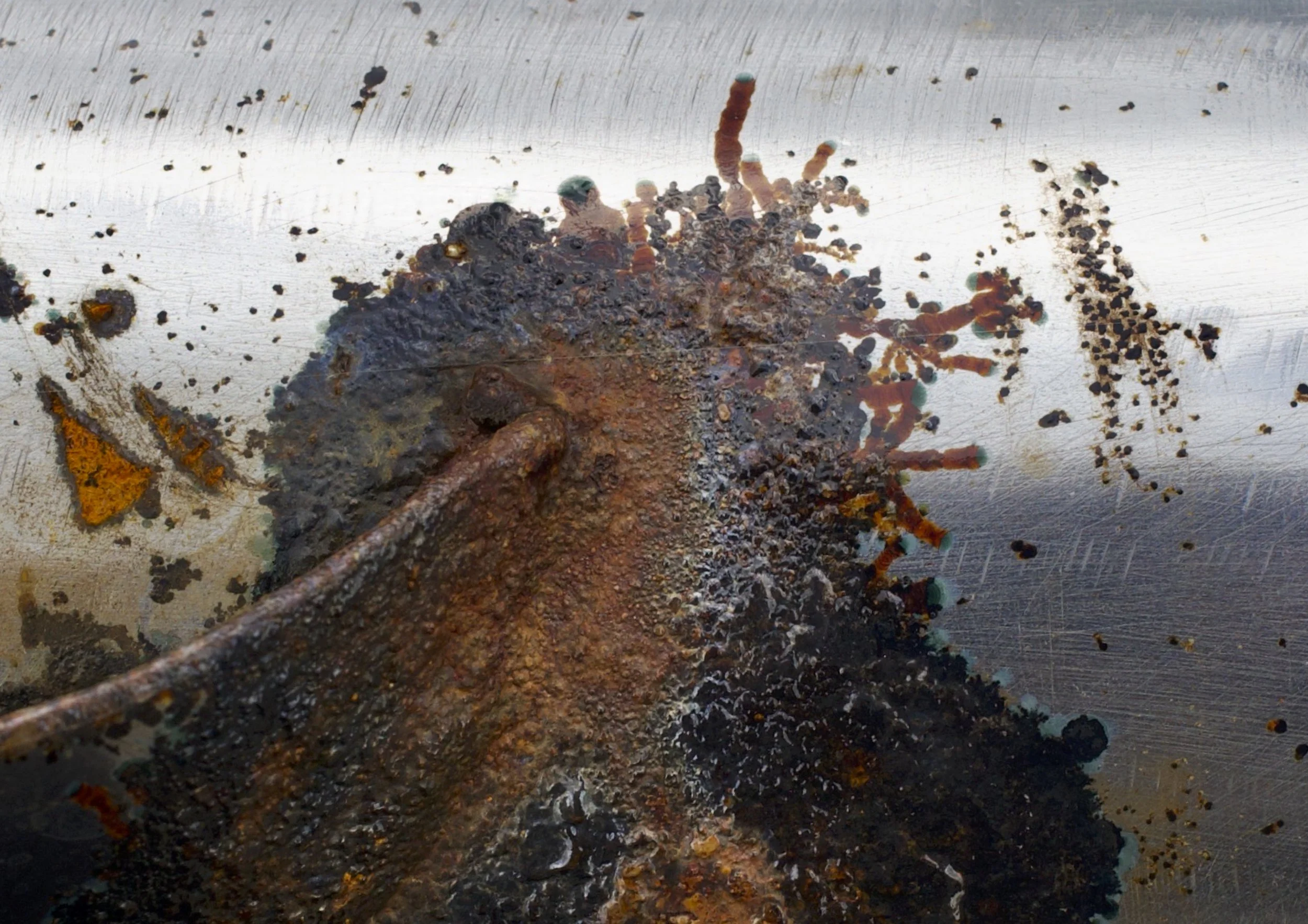 Foto's  Selectie Lost and found 1 .jpg