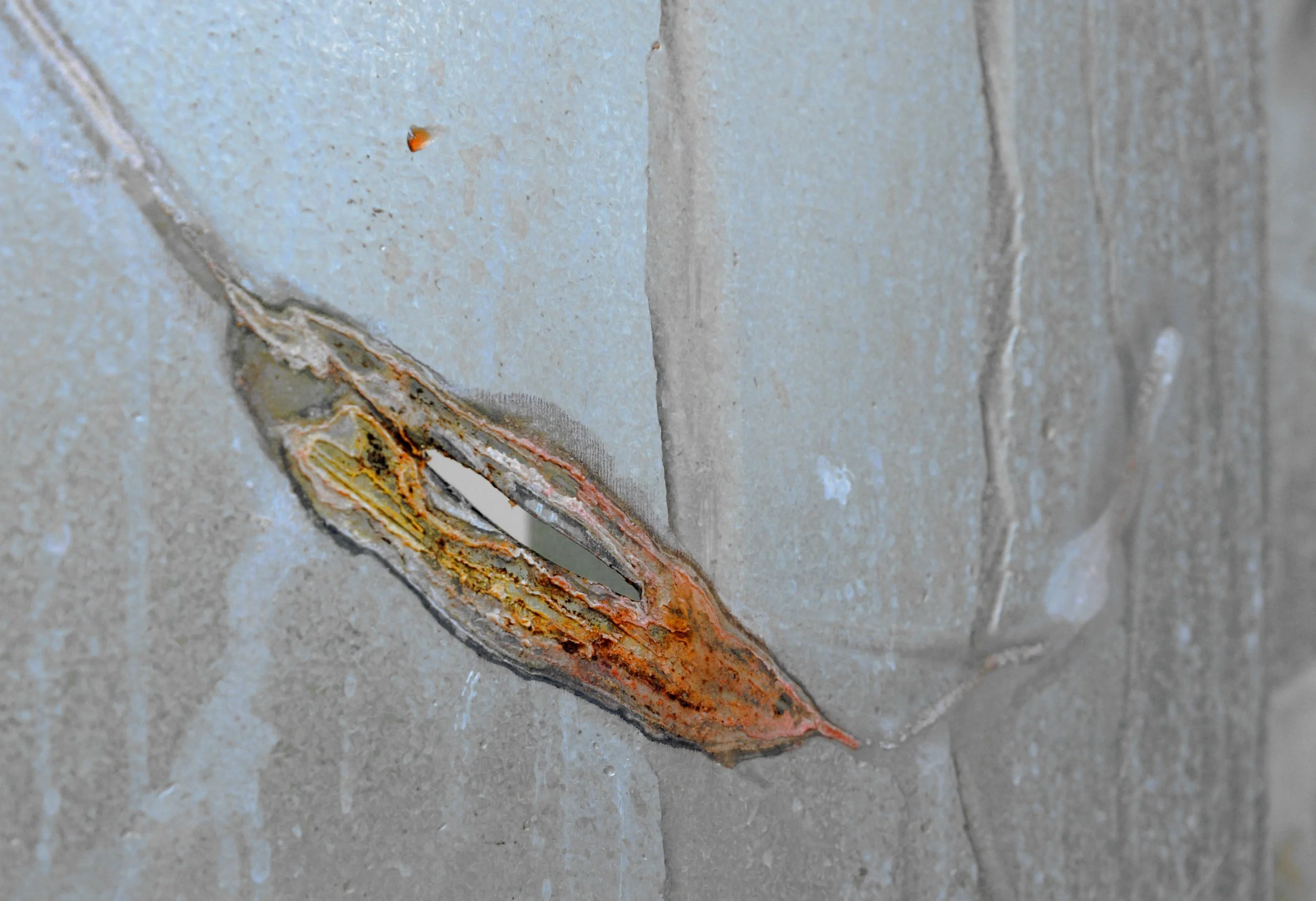 edited the free 2.JPG