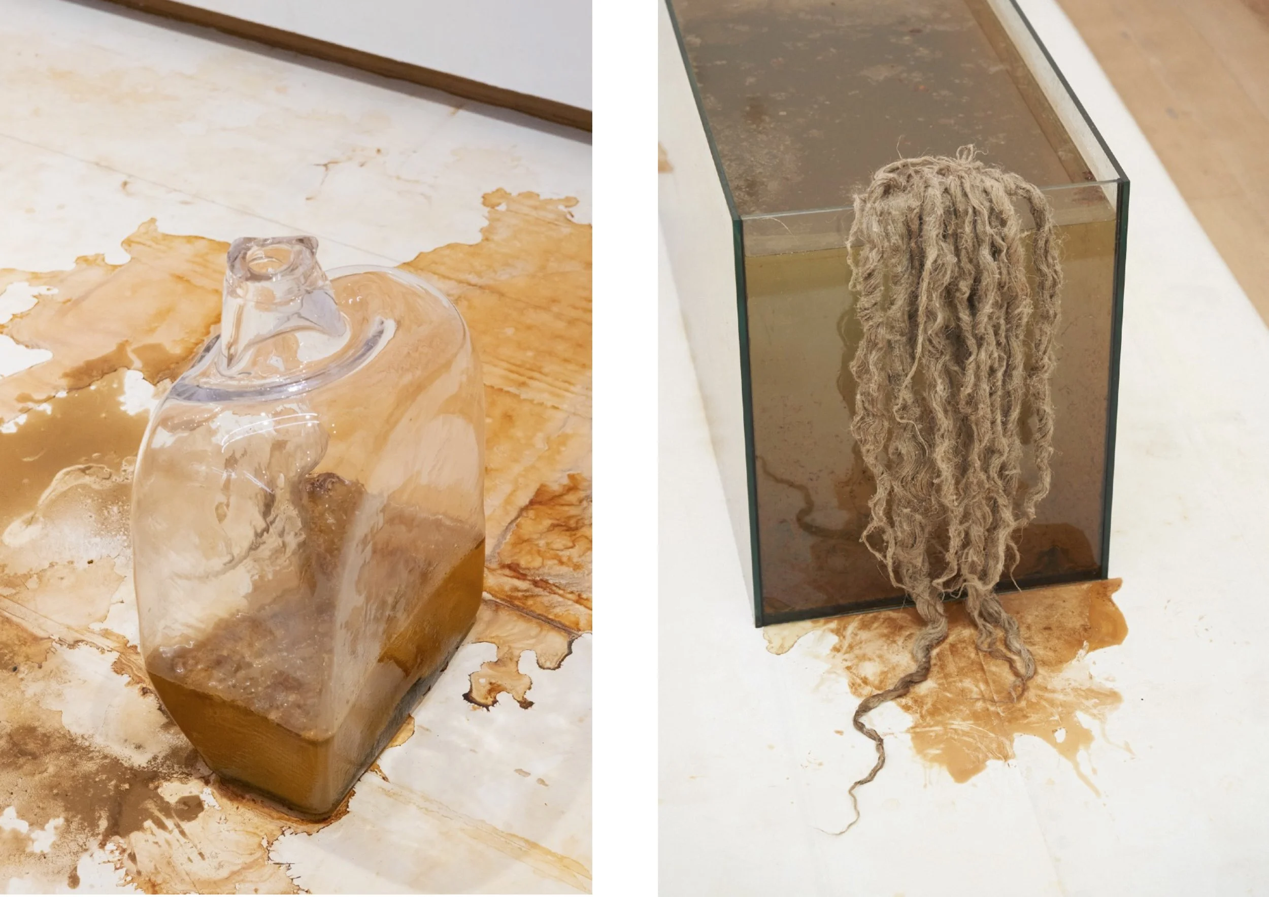 Website images rehearsing of decay .jpg