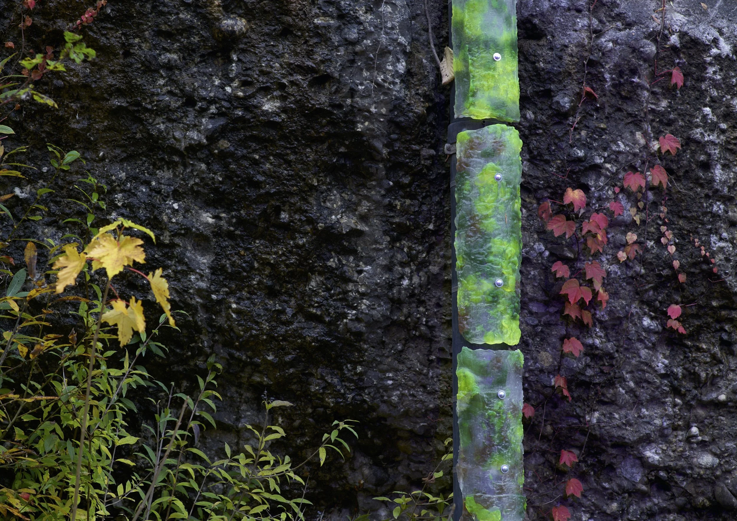 SELECTION WEBSITE IMAGES 1 .jpg