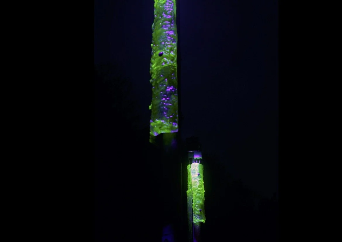 The Turbine website selection16.jpg