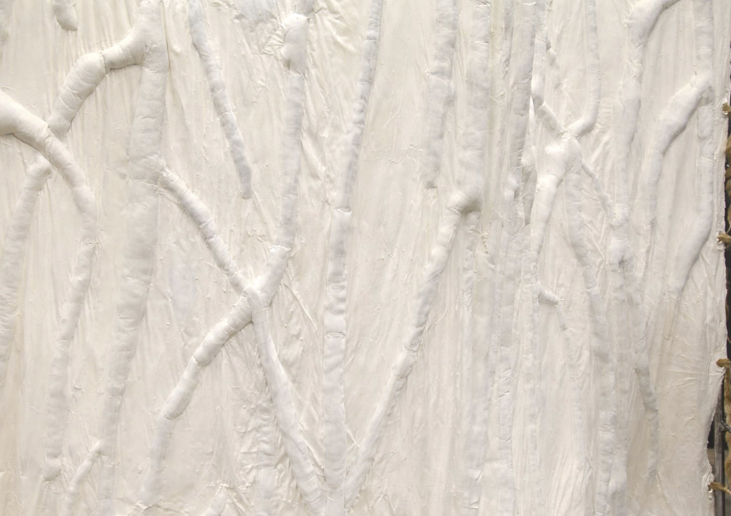 failure of the weave photo website mirre yayla seur 1.2.jpg