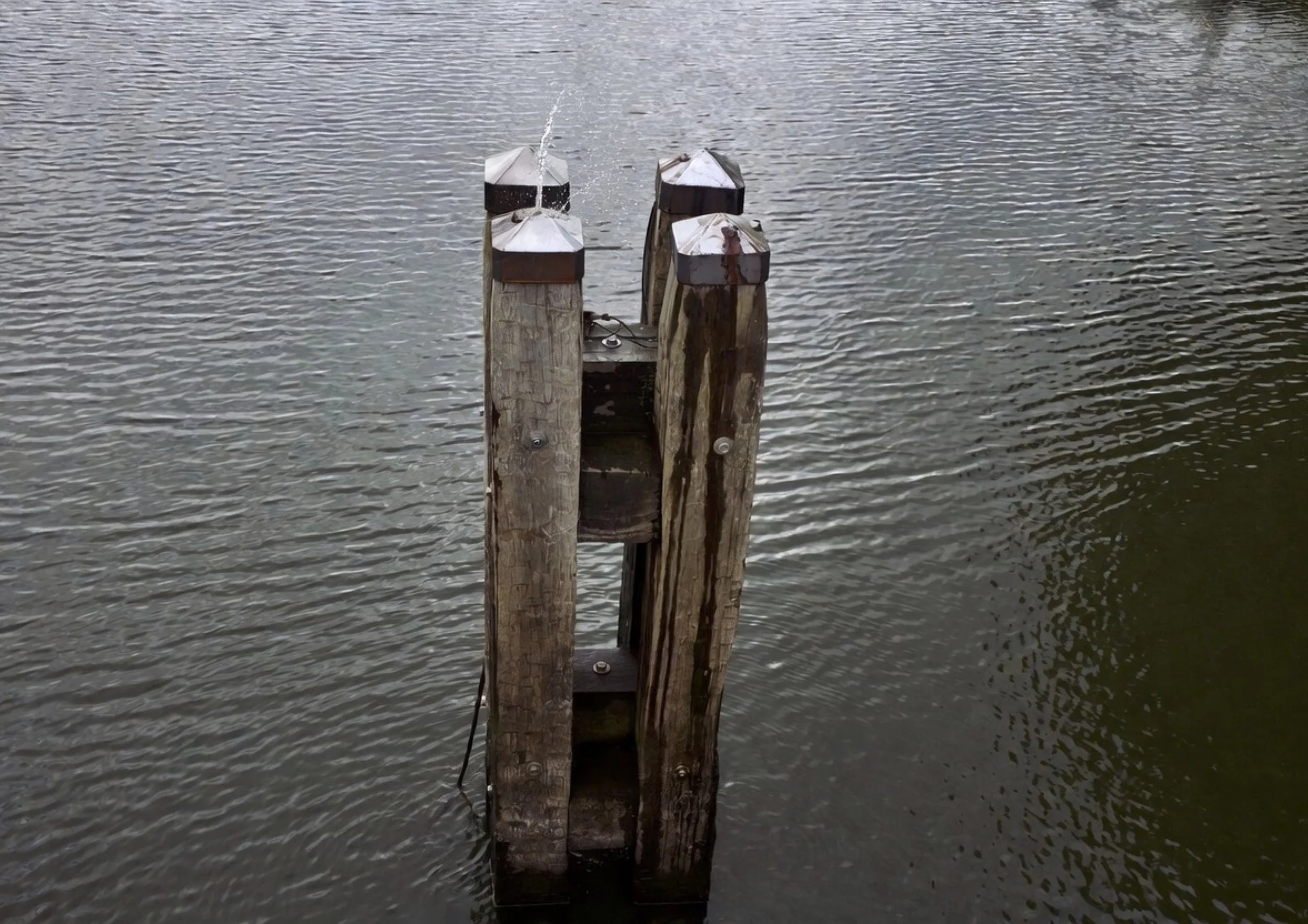 mirre seur - lost and found 1.jpg