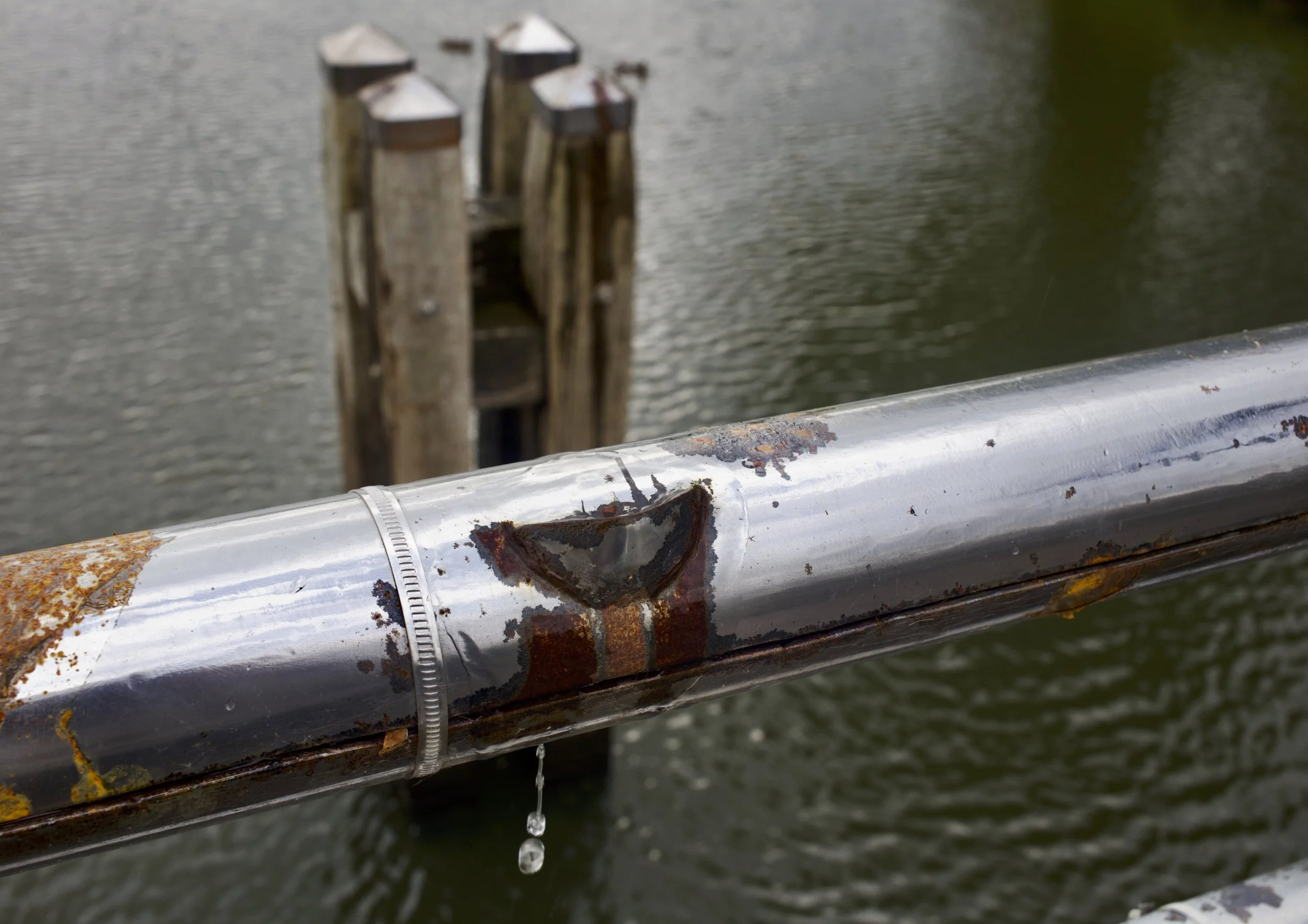 mirre seur - lost and found 8.jpg