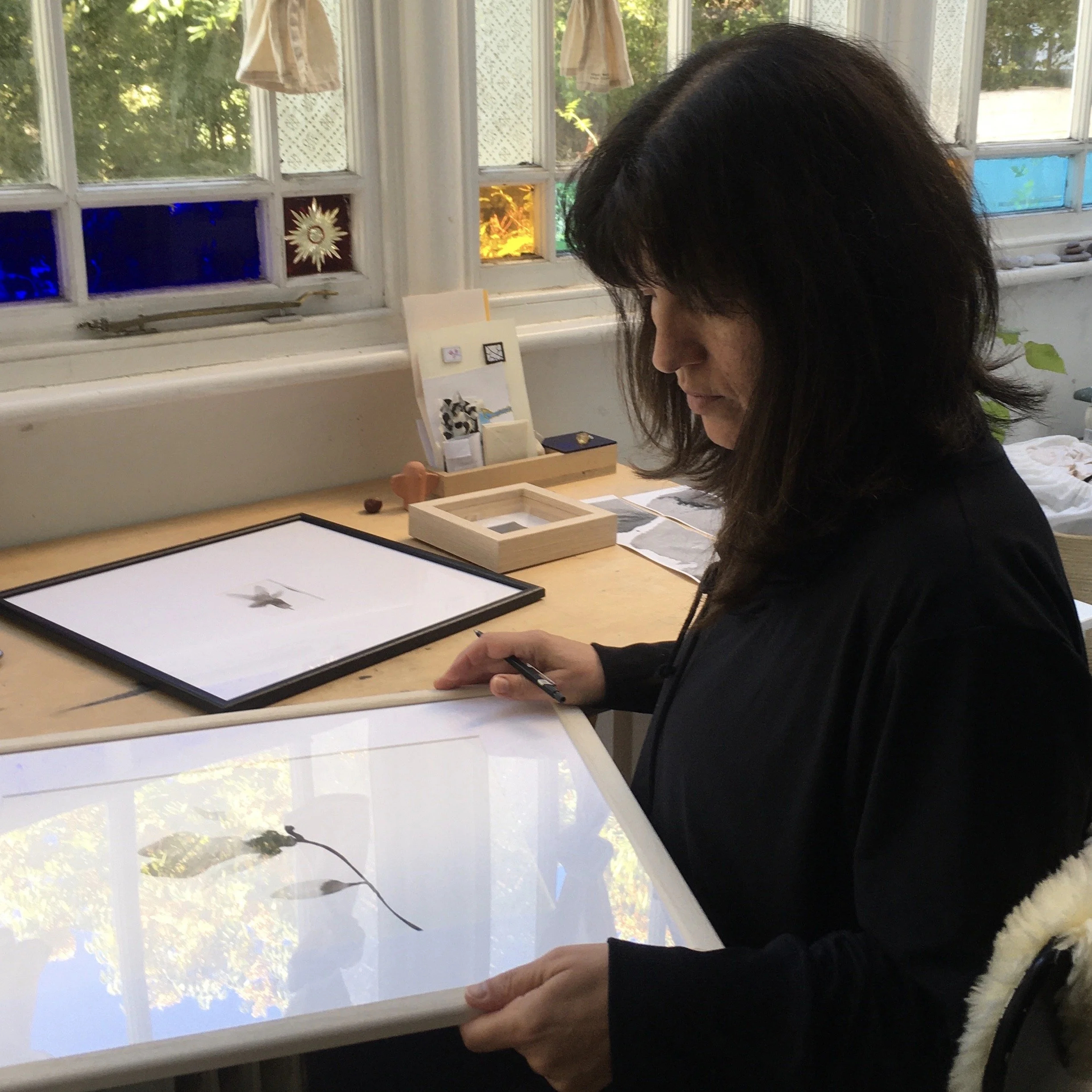 Vivienne Schadinsky - Fine Artists Creating Contemporary and Environmental Art