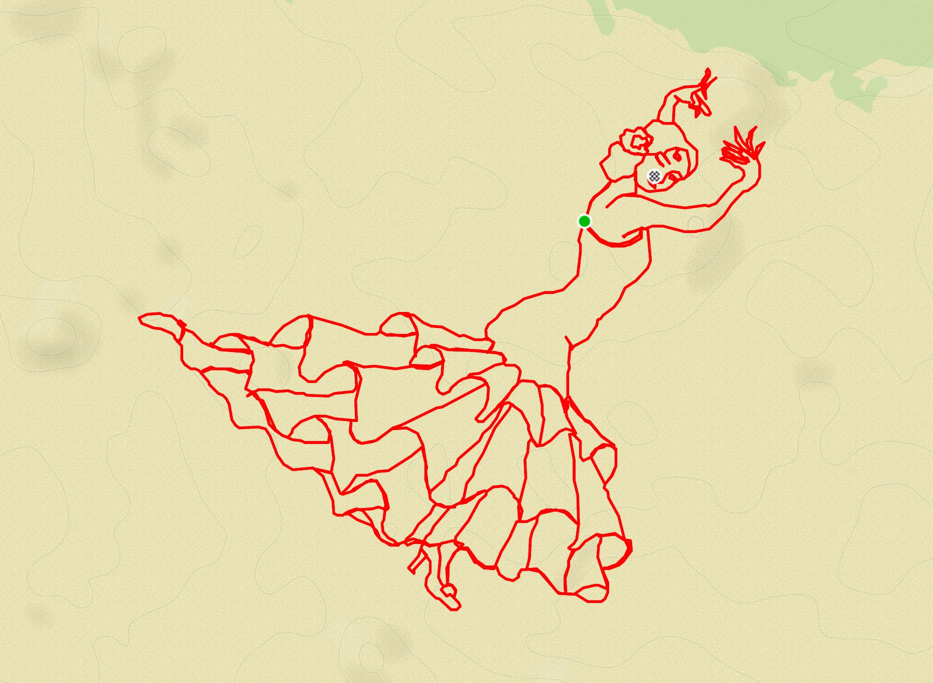 FlamencoA.jpg