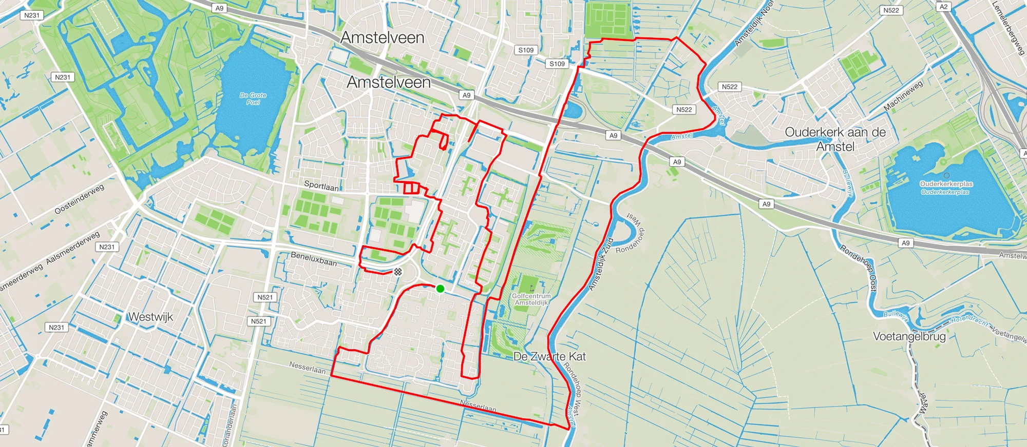 AmsterdamSquirrelA.jpg