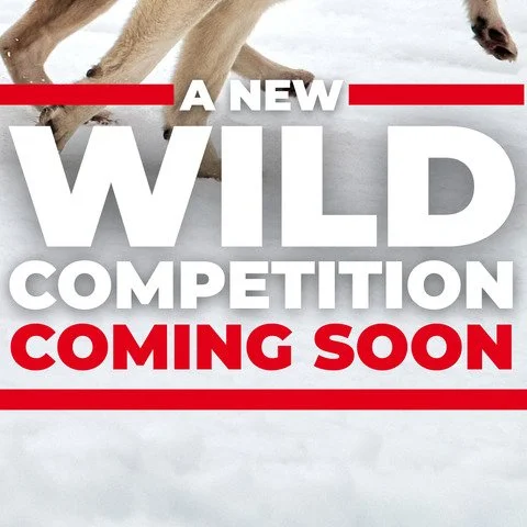Are you a runner? Still sticking to your New Year&rsquo;s running resolution? Looking for a reason not to fall off?

A new competition is coming that gives every mile a purpose beyond miles and minutes that combines your creativity with the outdoors&