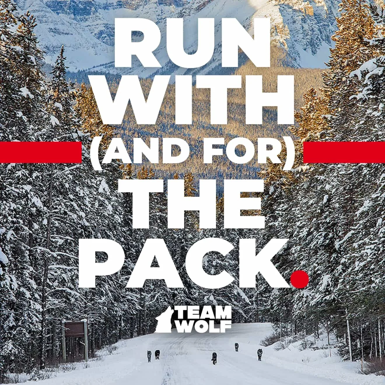 Keep up with your New Year&rsquo;s resolution - and the pack - with a purpose!

@strav.art and @TeamWolf are launching the Team Wolf Route-Art Challenge, a four-week competition turning your runs into wolf- and wildlife-inspired Strava art.

This is 