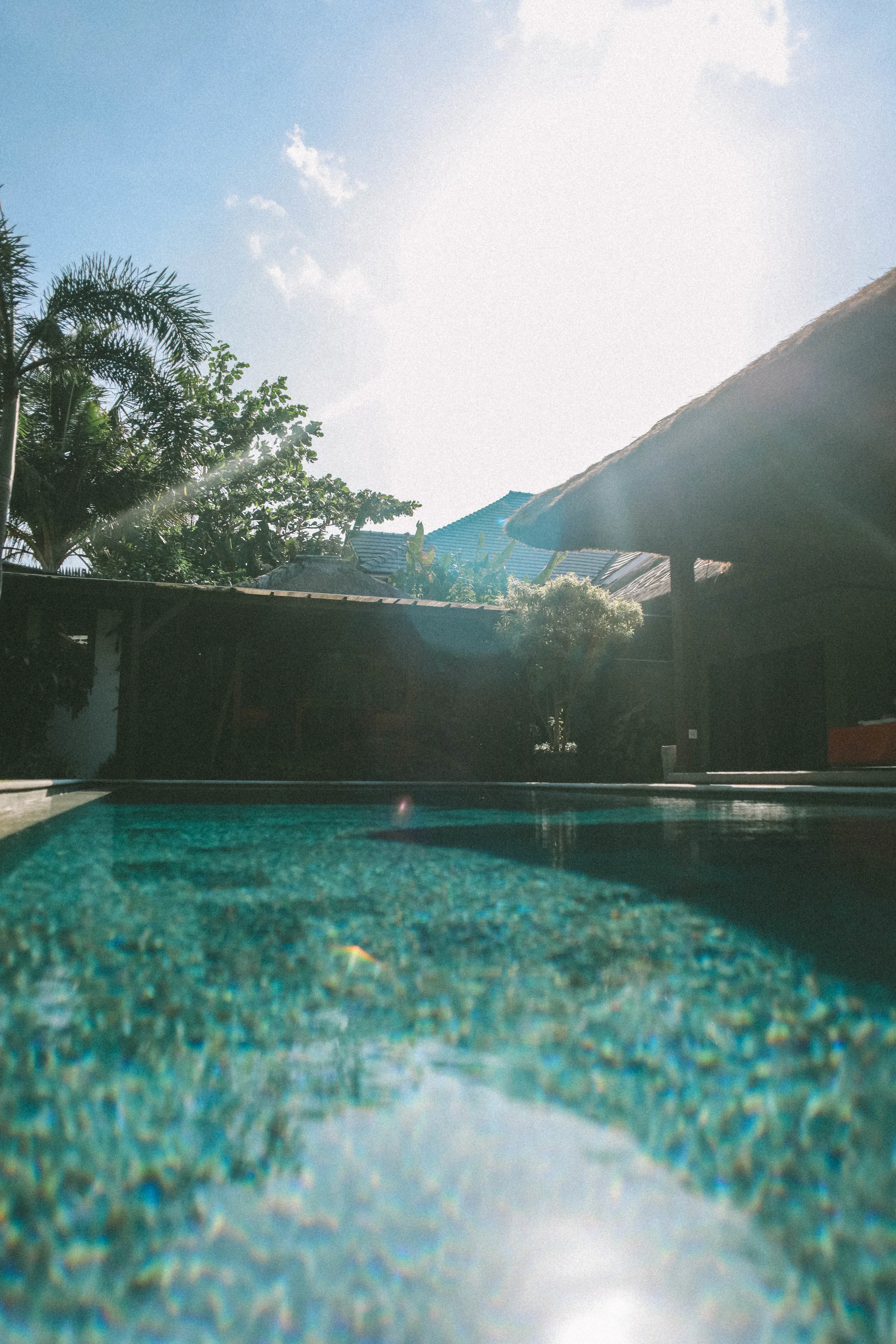 bali 1.jpg